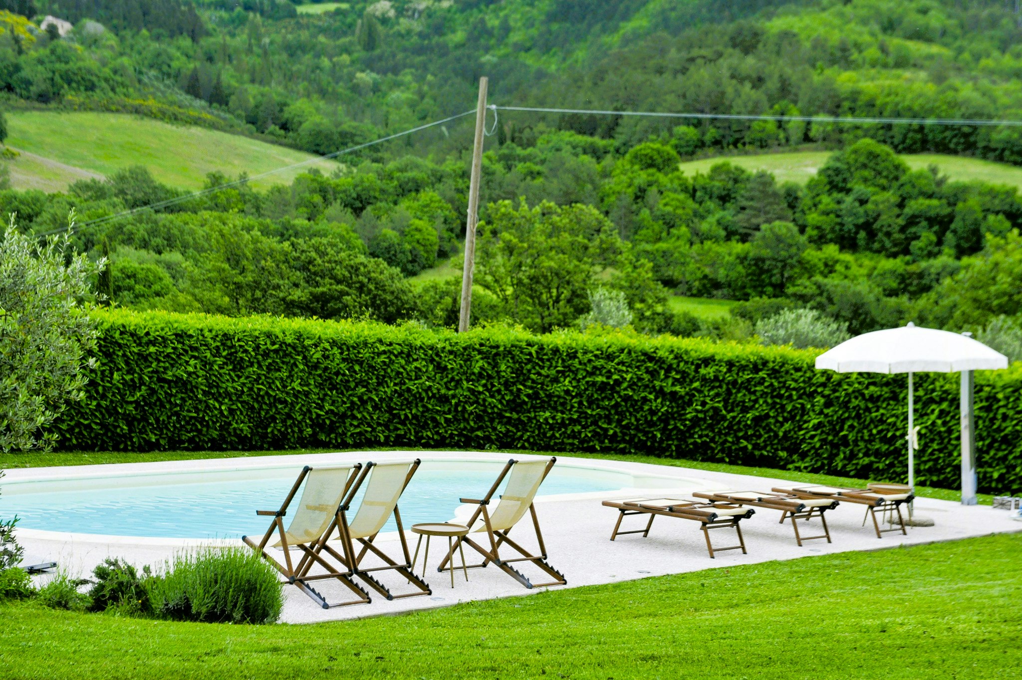 Sansepolcro cover image