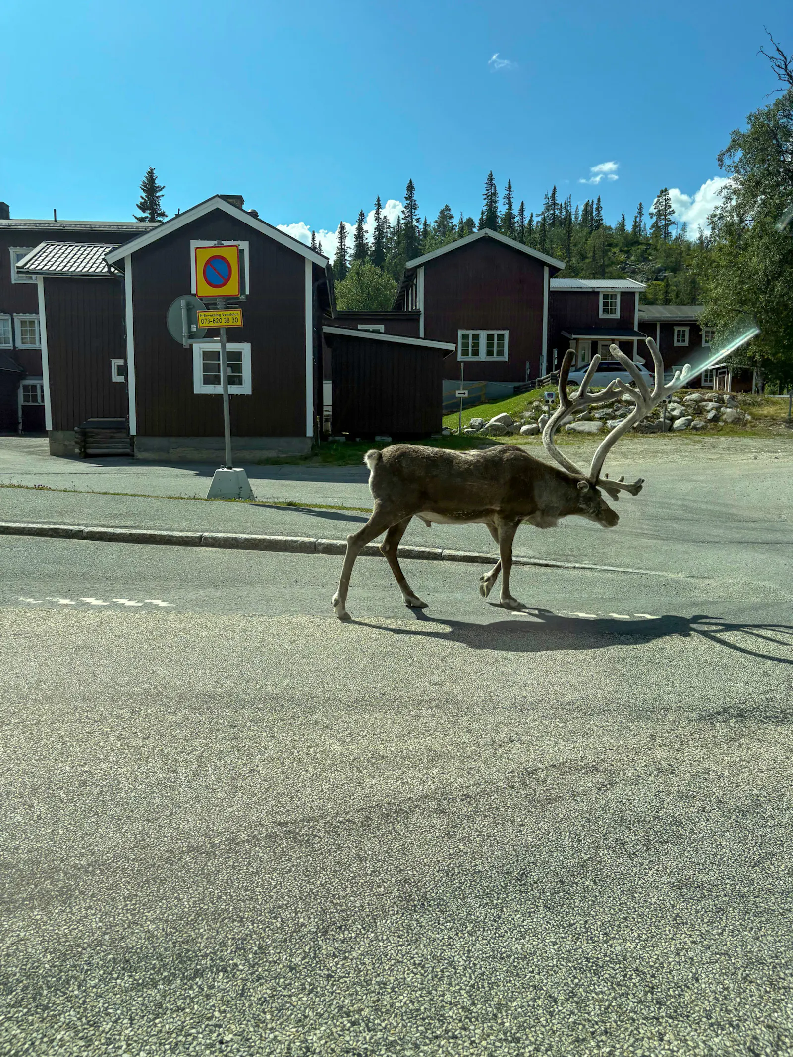 Fjällstuga med utsikt över Vemdalsskalets pister – bild 24 av 24