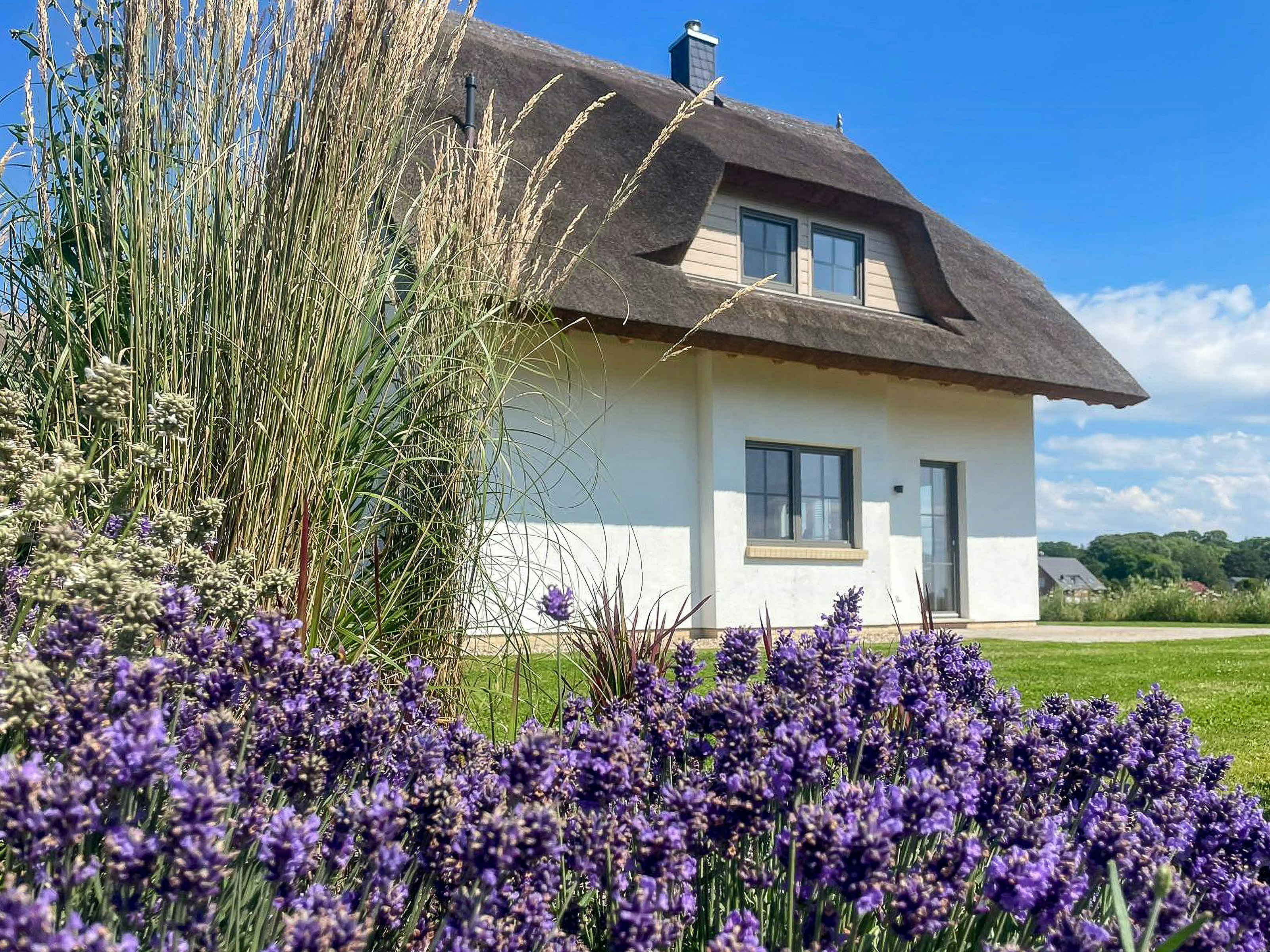 Ferienhäuser auf Rügen mit Meerblick cover image