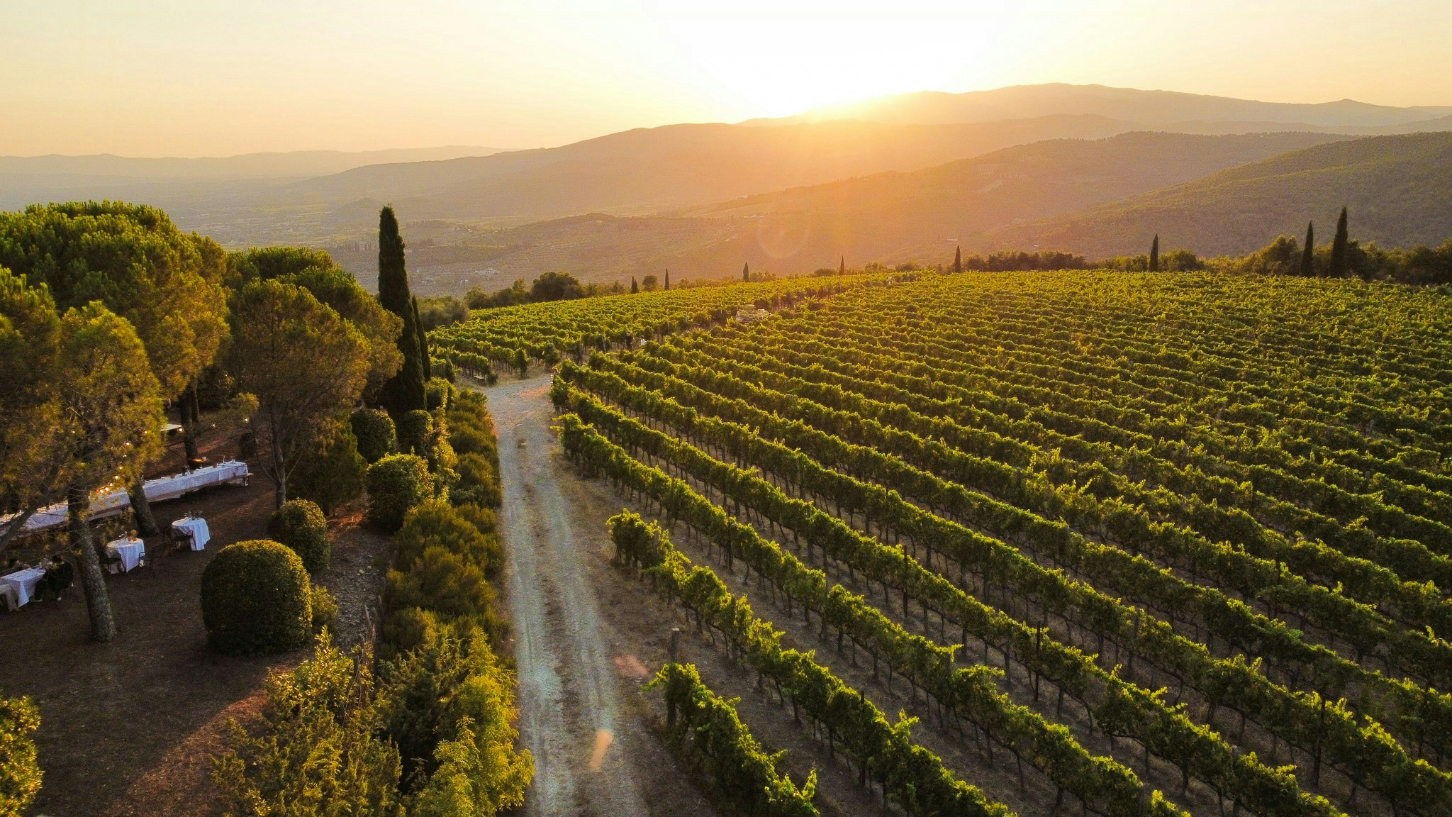 Case vacanze tra i vigneti cover image