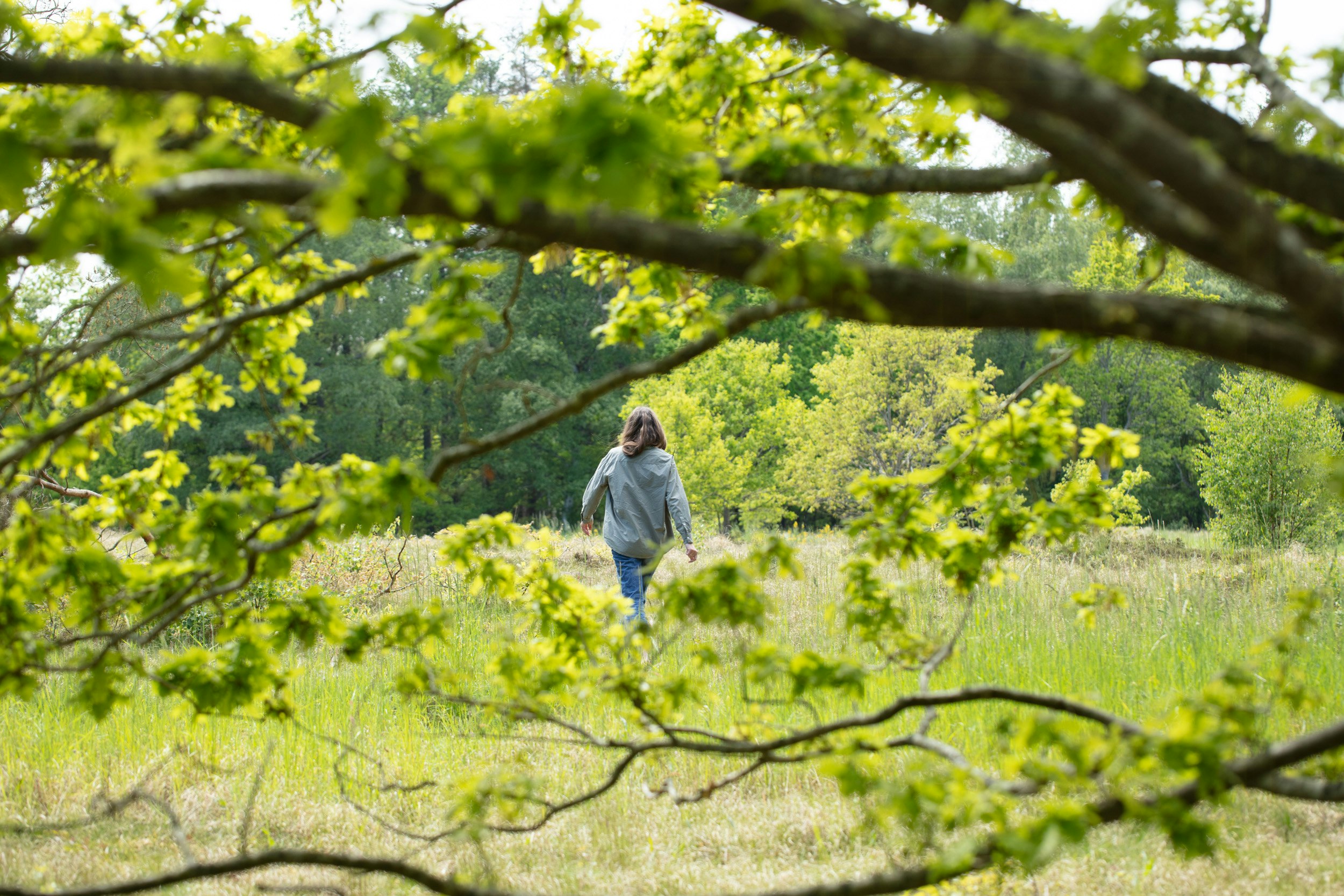 Ud i naturen: Guide til Bjergene i Odsherred