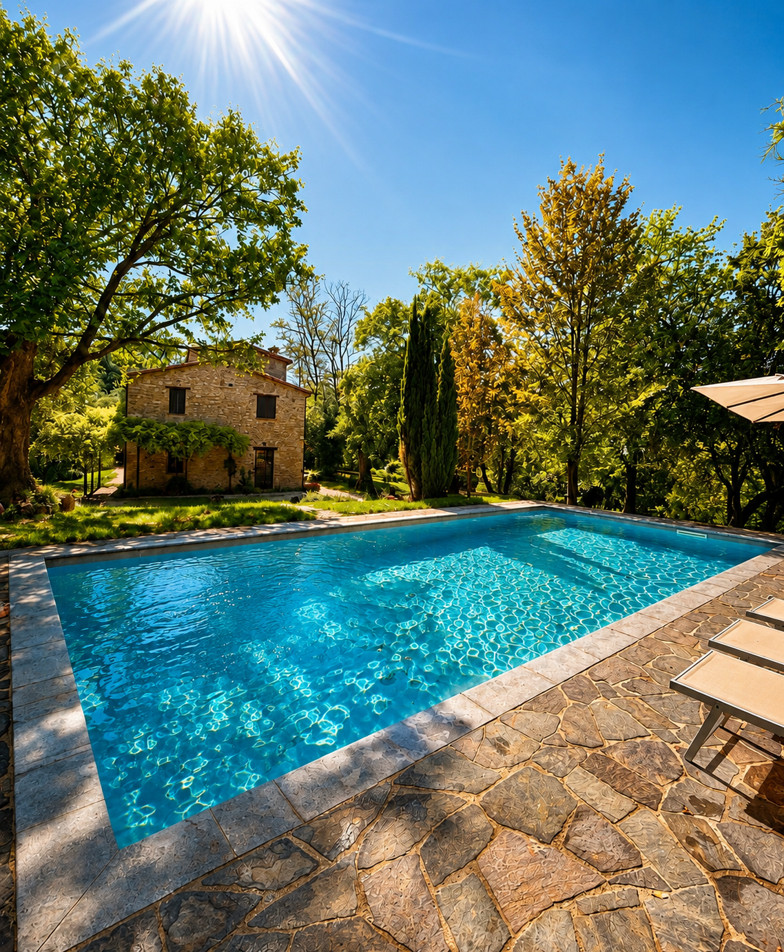 Montone cover image