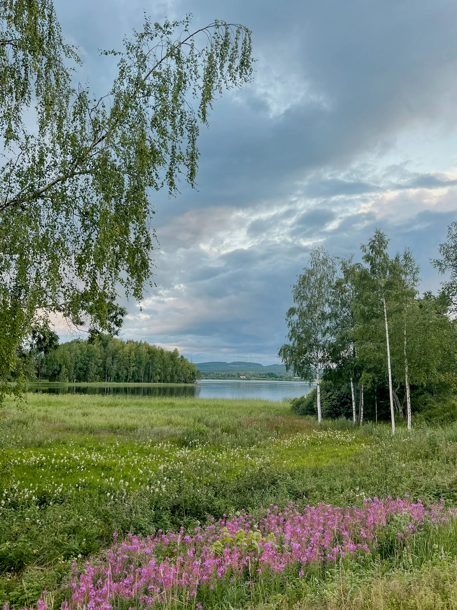 Lantlig stuga för kreativa själar vid Lingbosjön – bild 24 av 24