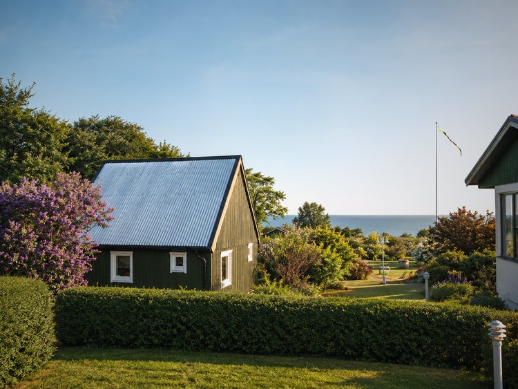 Kivik cover image