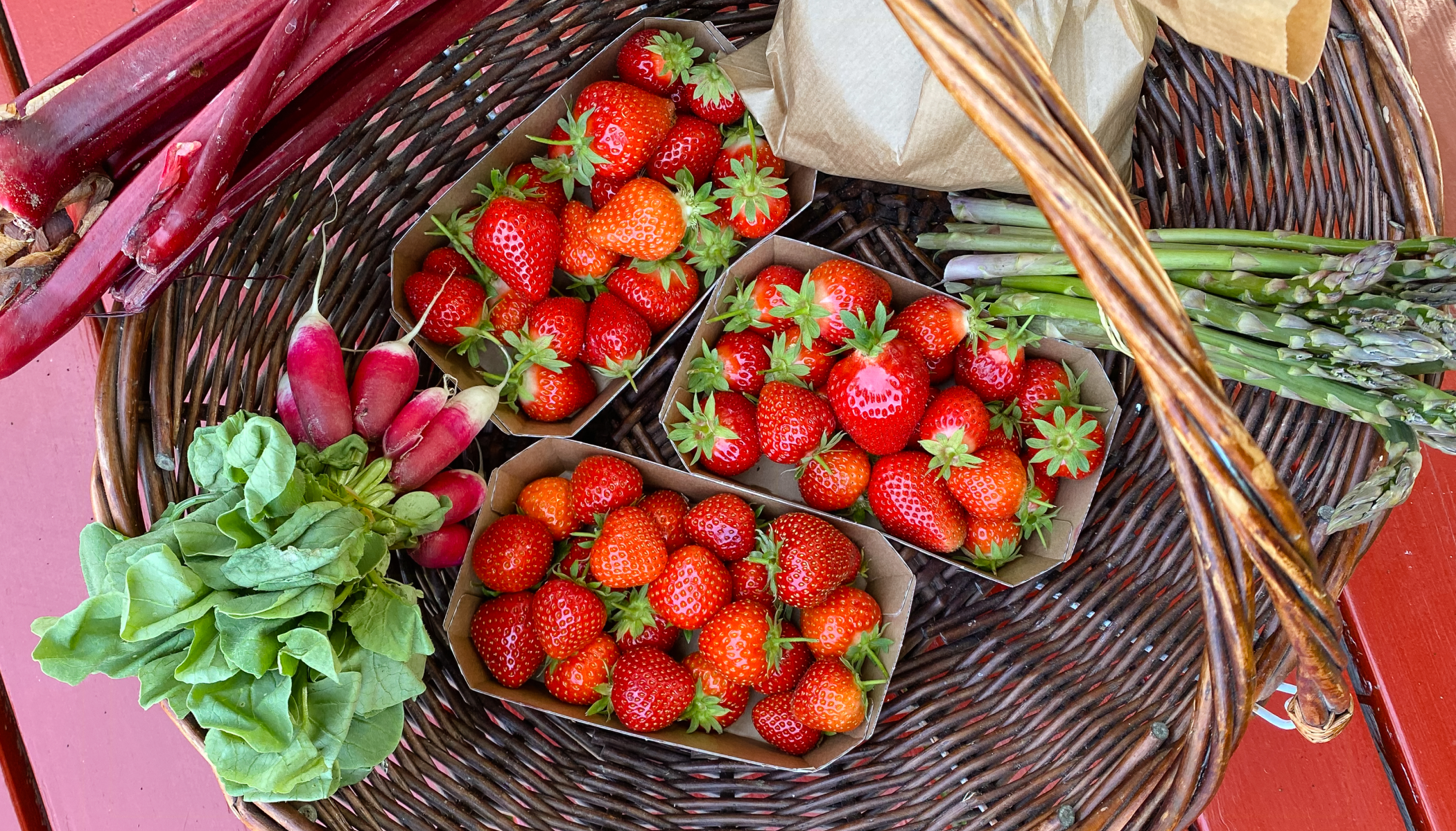 Rokkedyssegaard (Rokkedysse Farm)
