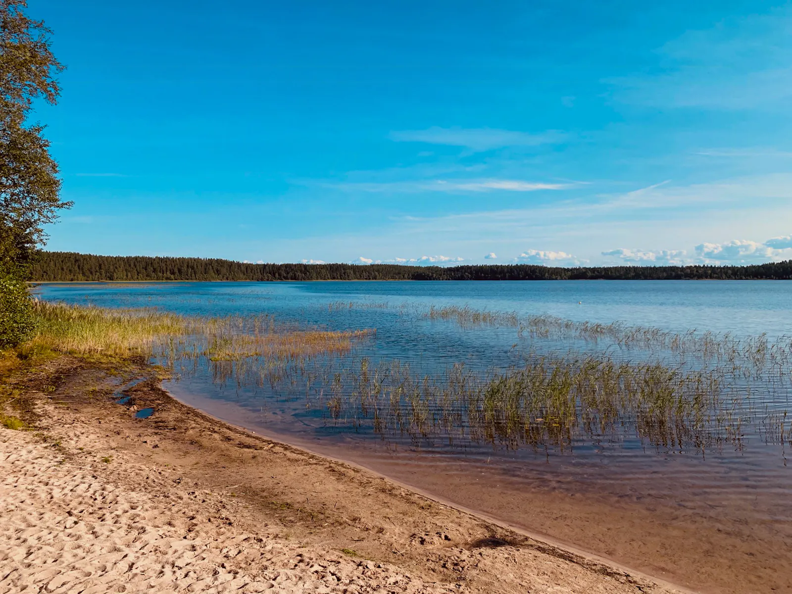 Lägenhet vid Alvasjön med bastu och vid naturreservat – bild 19 av 24