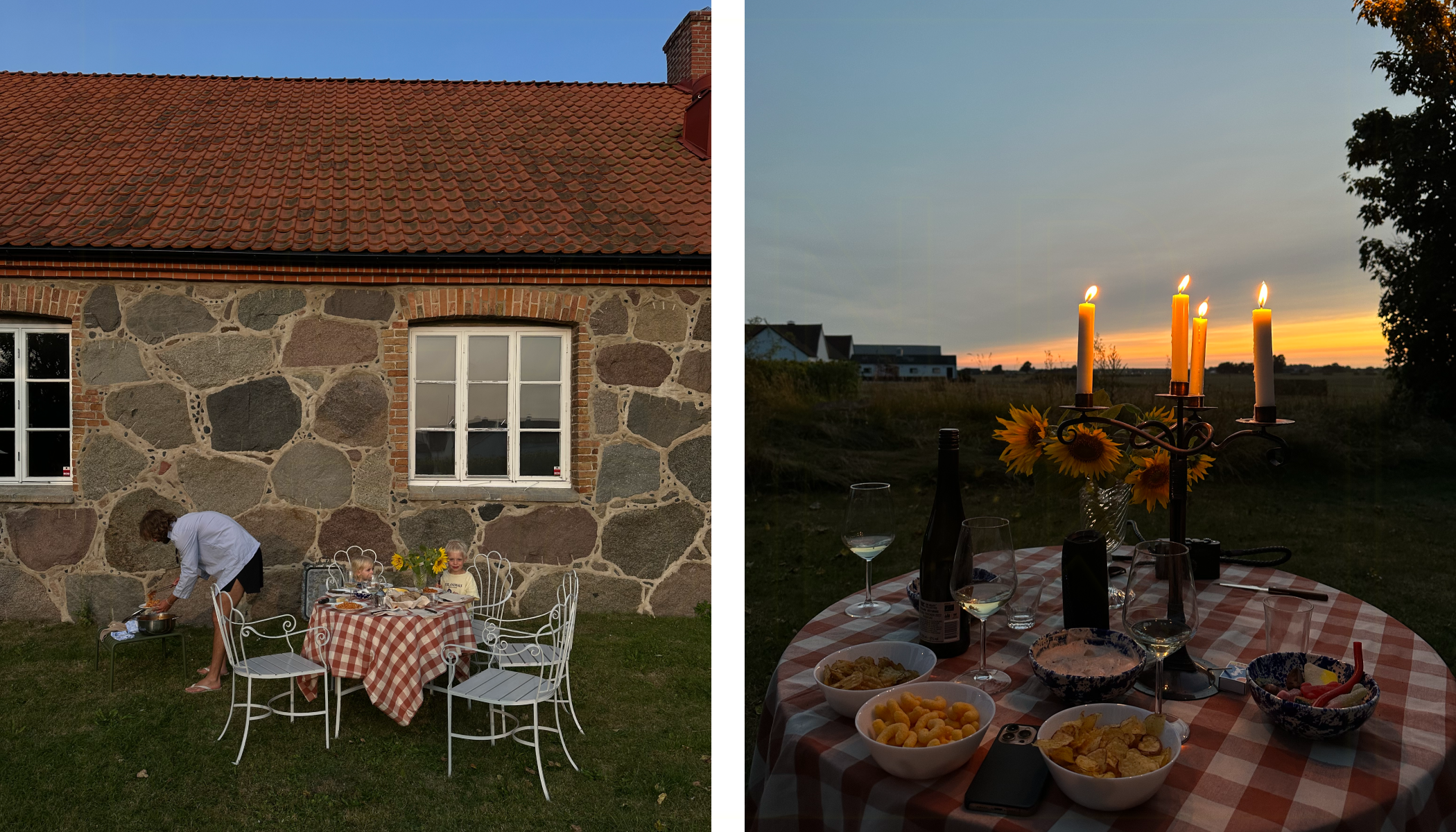 Dinner in the garden