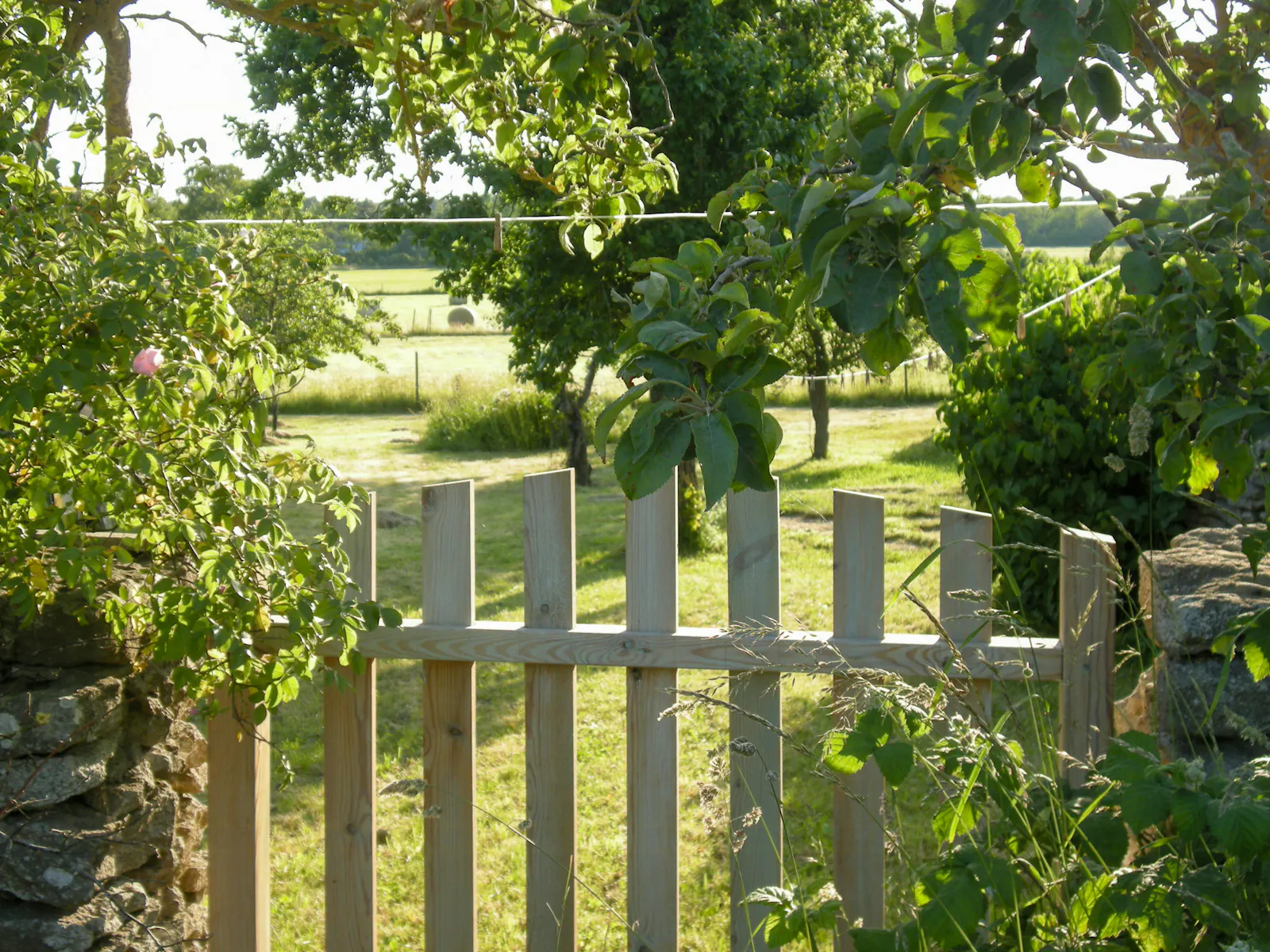 Traditionellt gårdshus vid Dämba sjö på Fårö – bild 17 av 19