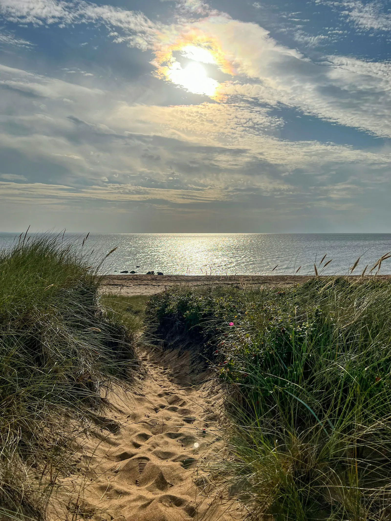 Stuga i lungt område nära havet – bild 19 av 24