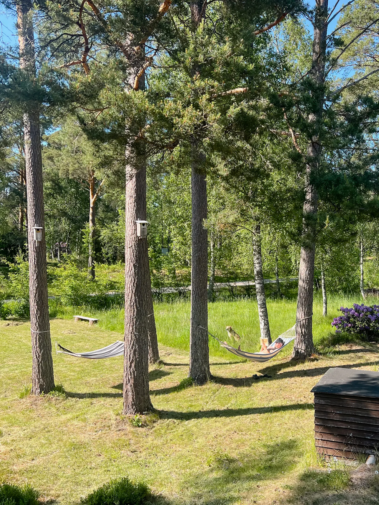 Äventyr: utforska ö-livet i idyllisk stuga – bild 20 av 24