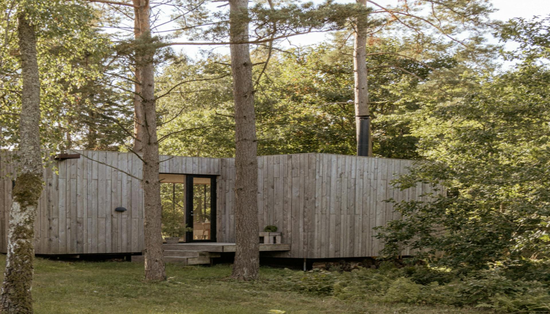 Summer house in a Nordic style with walls covered in birch veneer