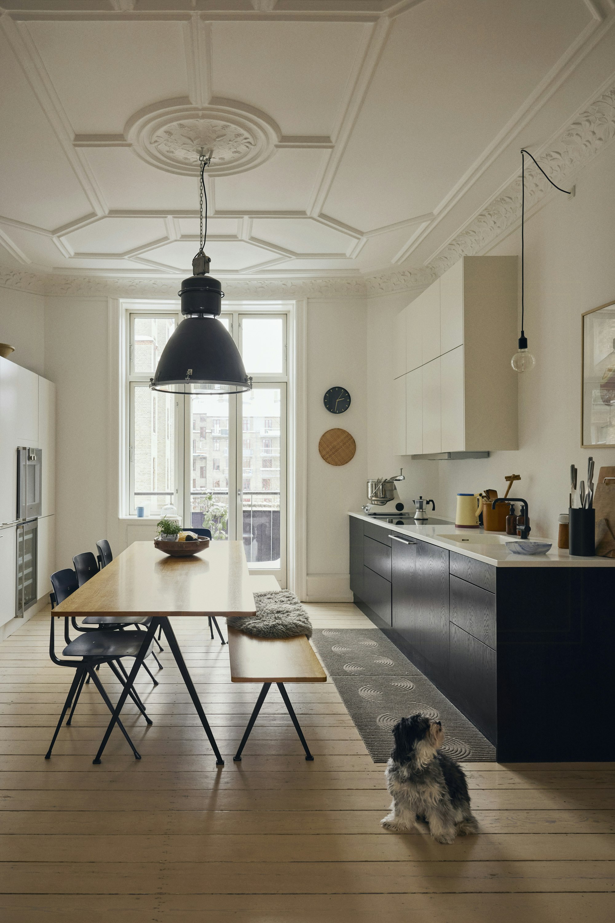 The Urban Collection cover image