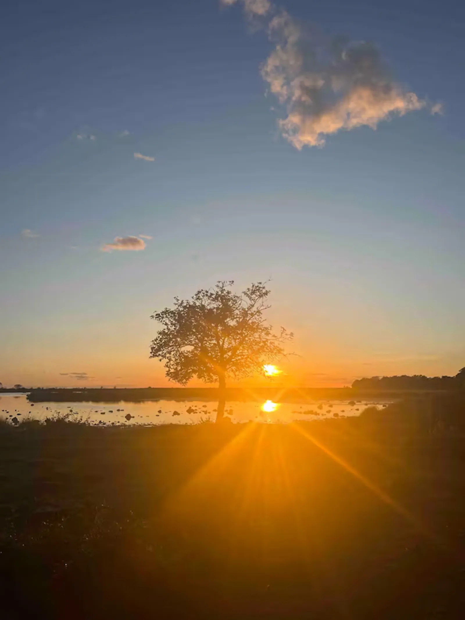 Rustik gård i avskilt Knisa på Öland – bild 23 av 23