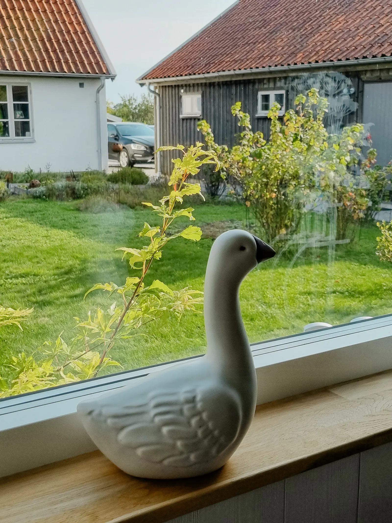 Modernt gästhus nära havet i Brösarp – bild 8 av 12