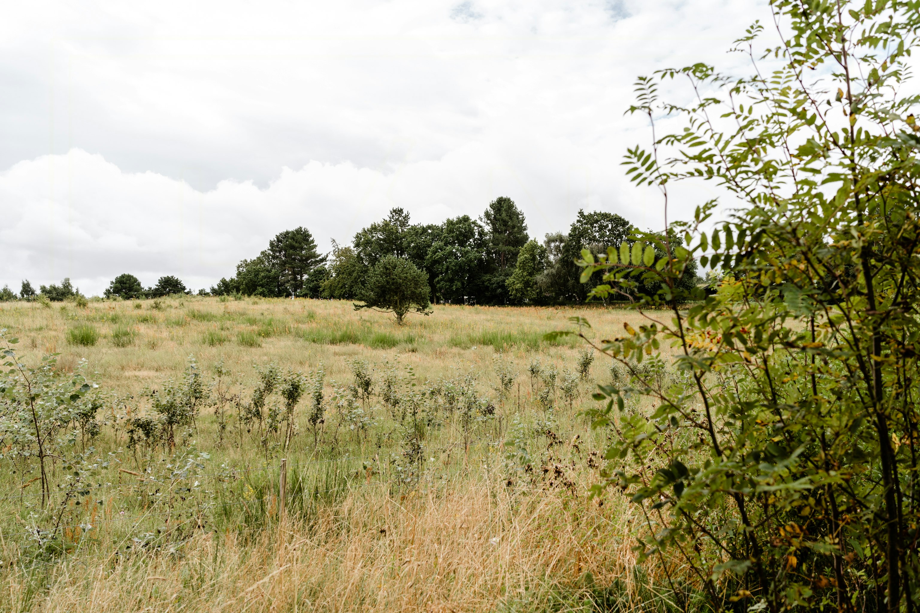 Kom ud i naturen: 5 unikke naturoplevelser i Nordsjælland