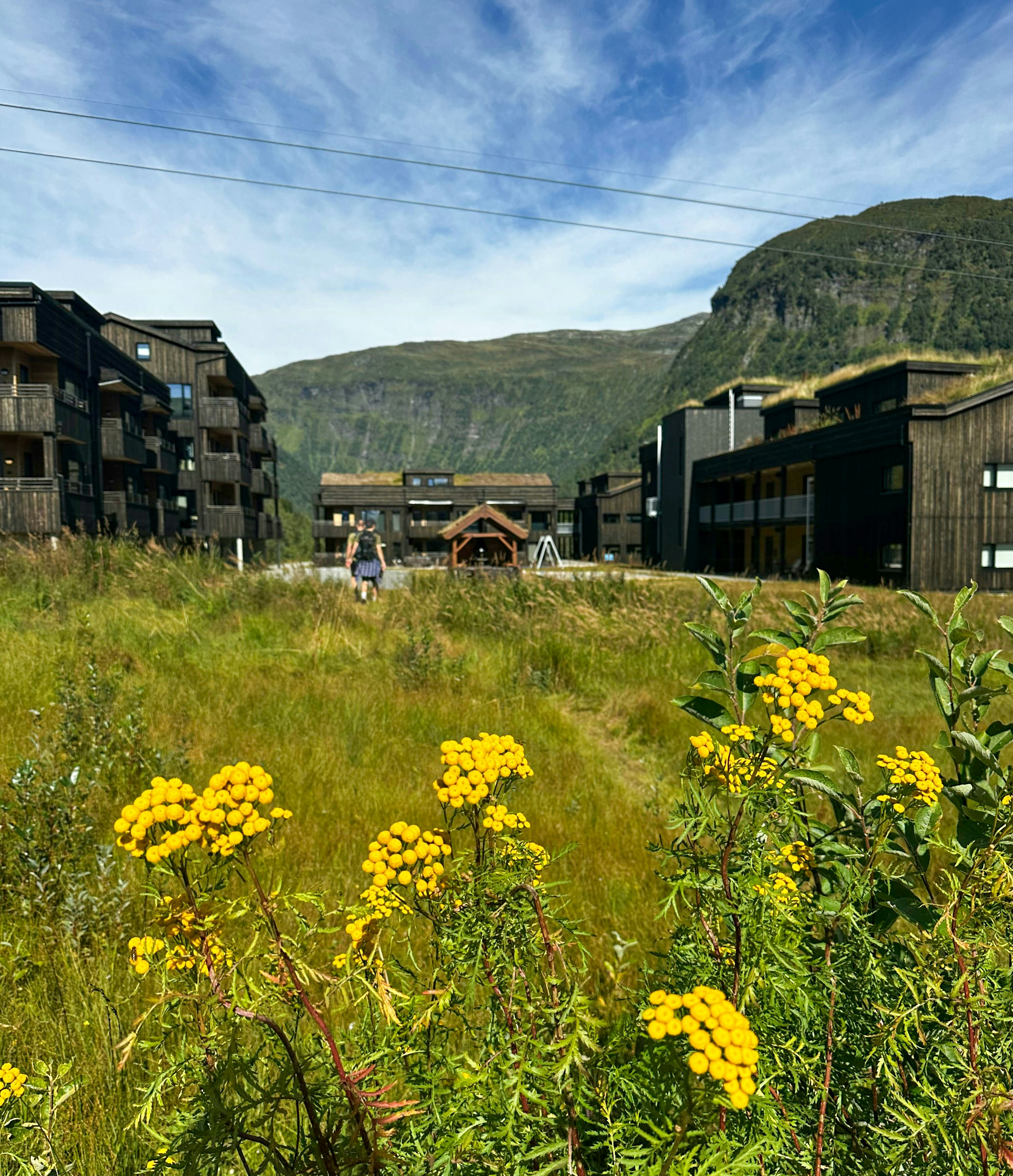 Myrkdalen cover image