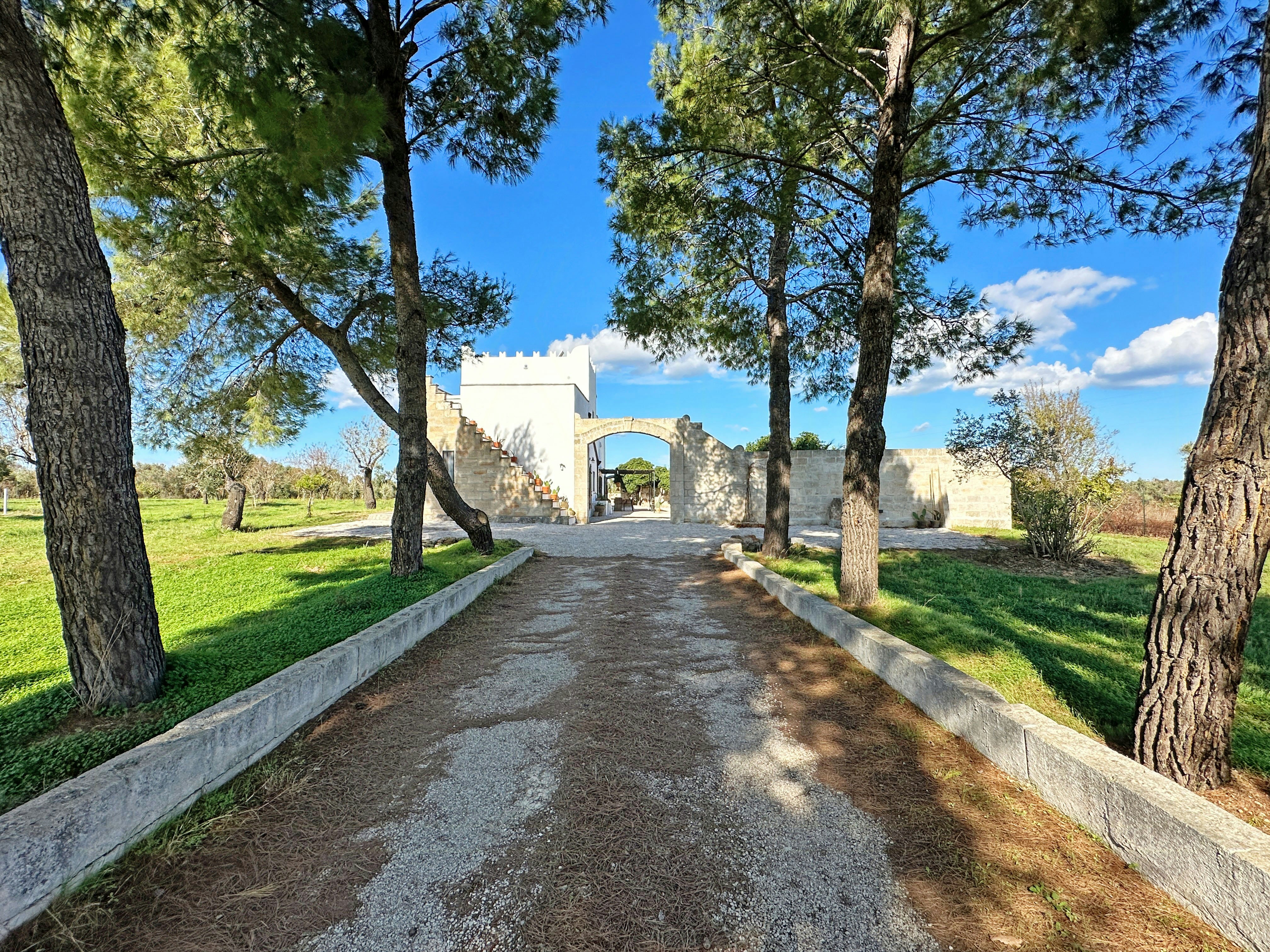San Vito dei Normanni cover image