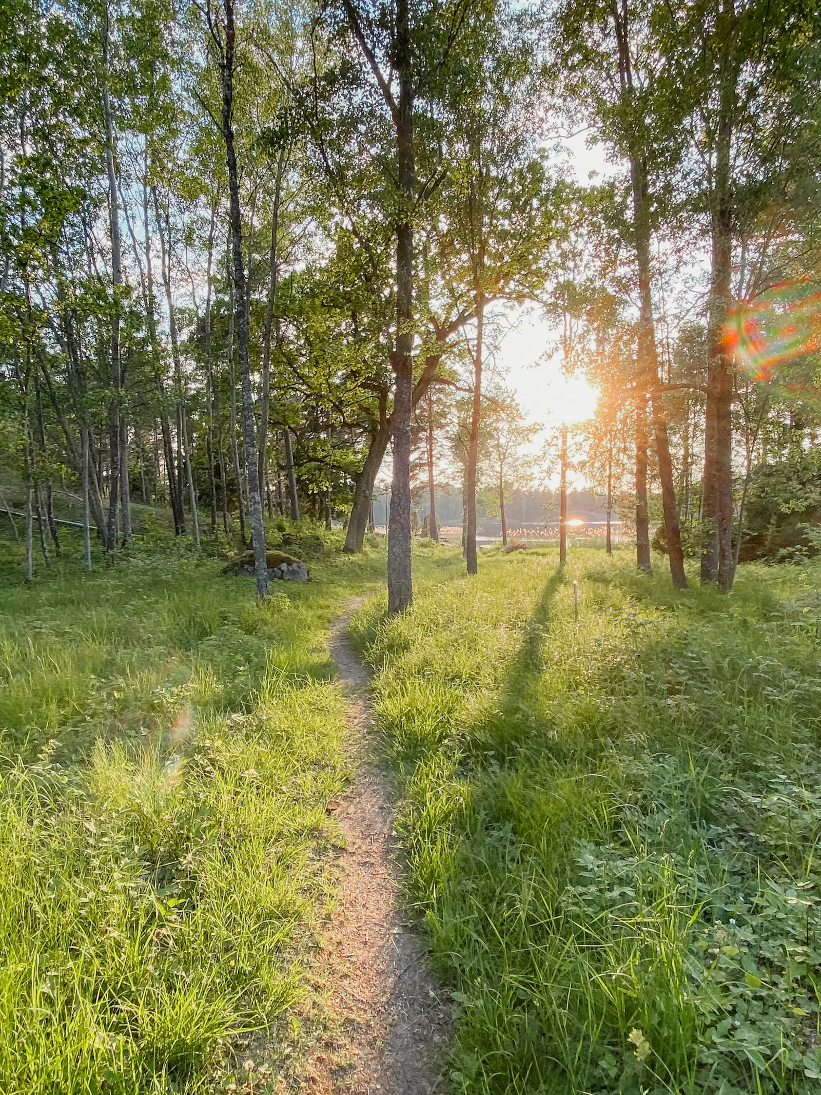 Natur och veranda i perfekt vinkel – bild 17 av 22