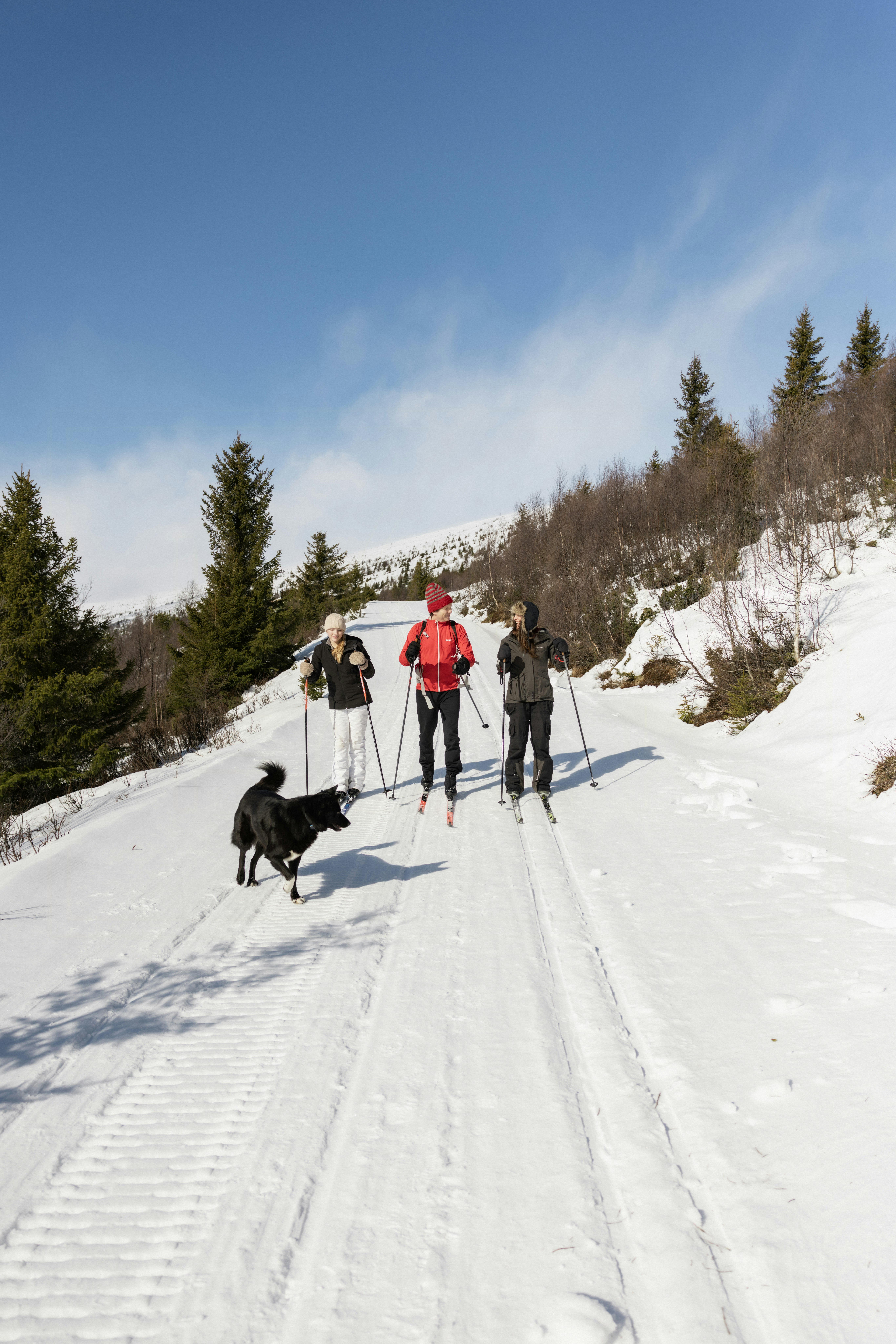 Åk längdskidor direkt från stugan cover image