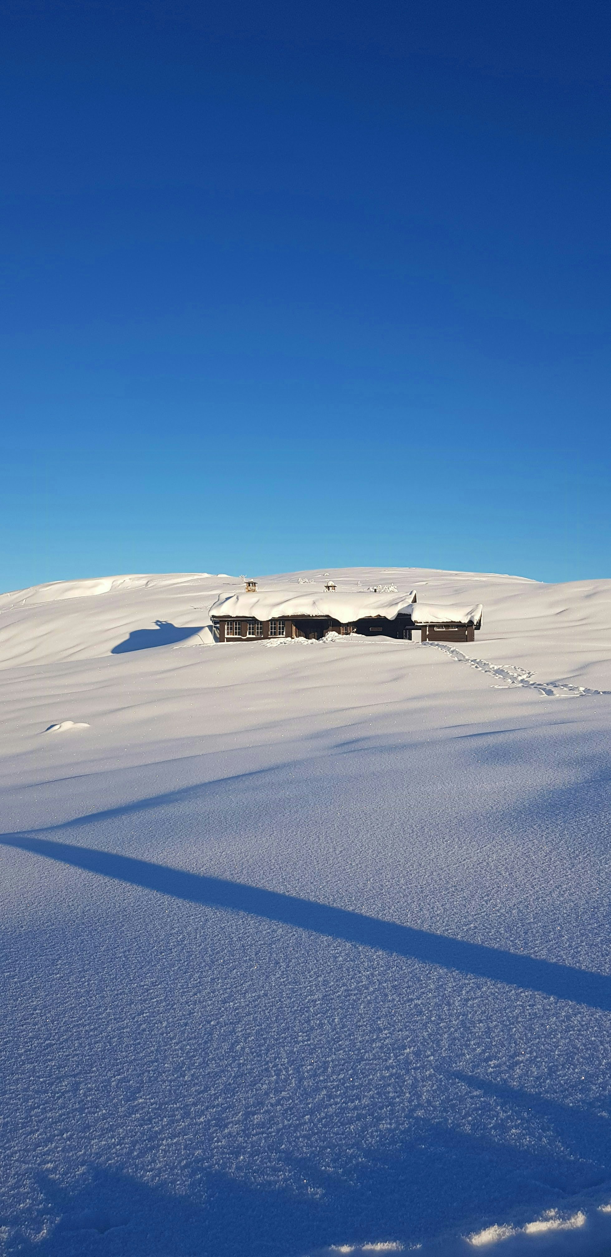 Høgevarde cover image
