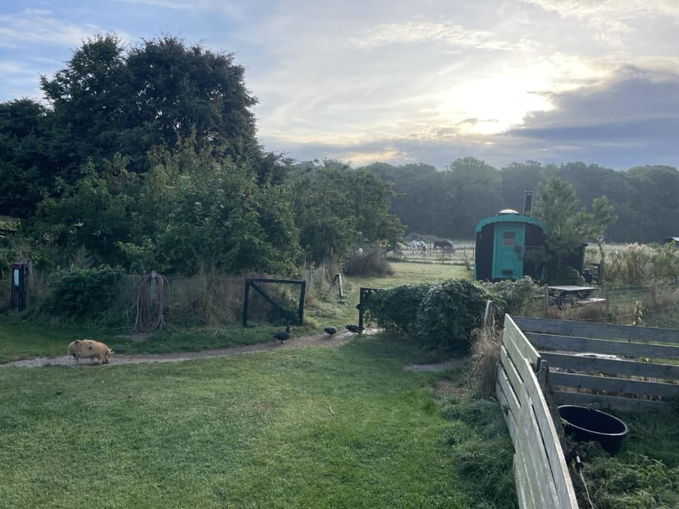 Tothavens besøgsgård