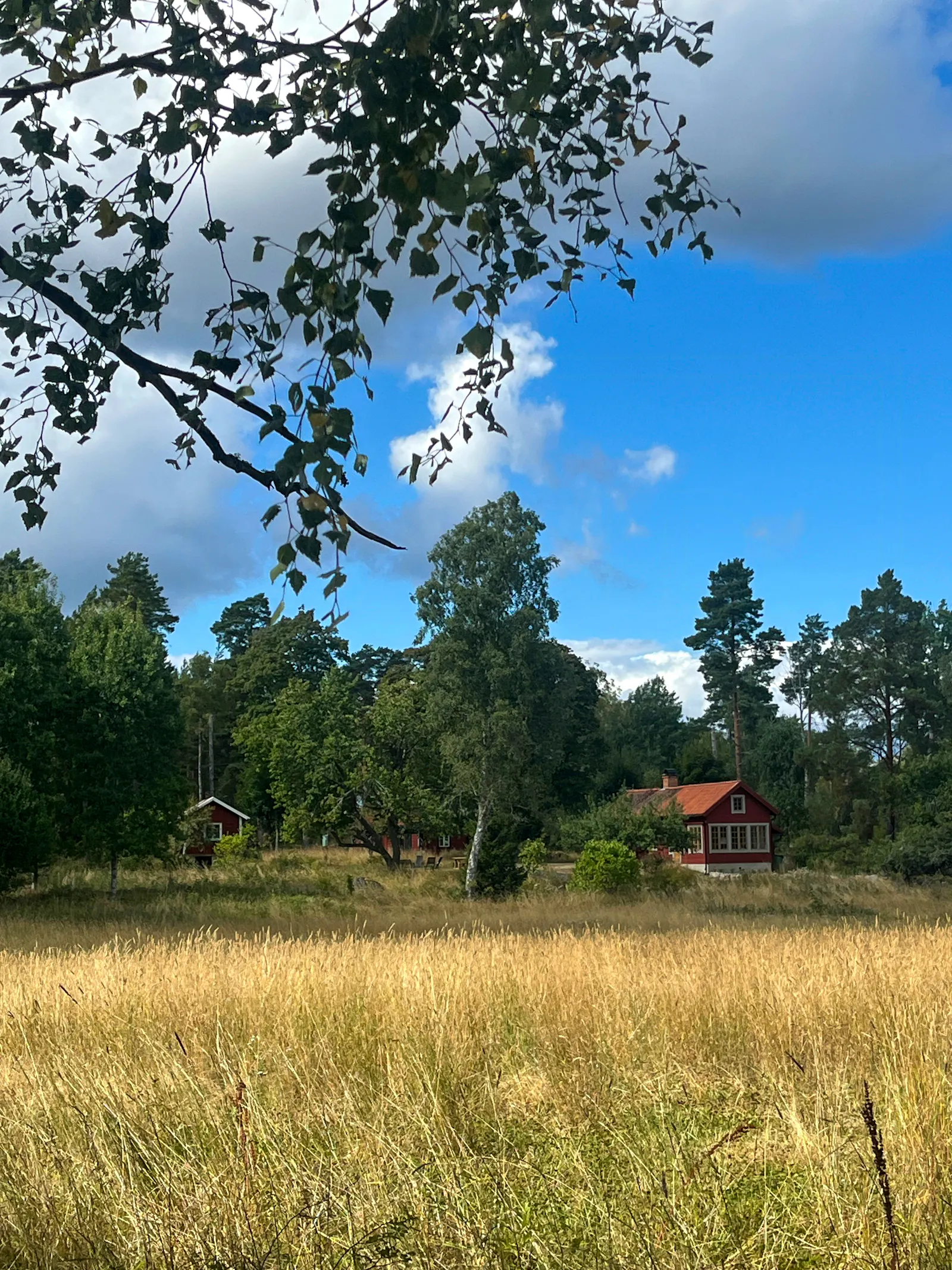 1800-talsstuga på Fogdö omgiven av skog och äng – bild 21 av 24