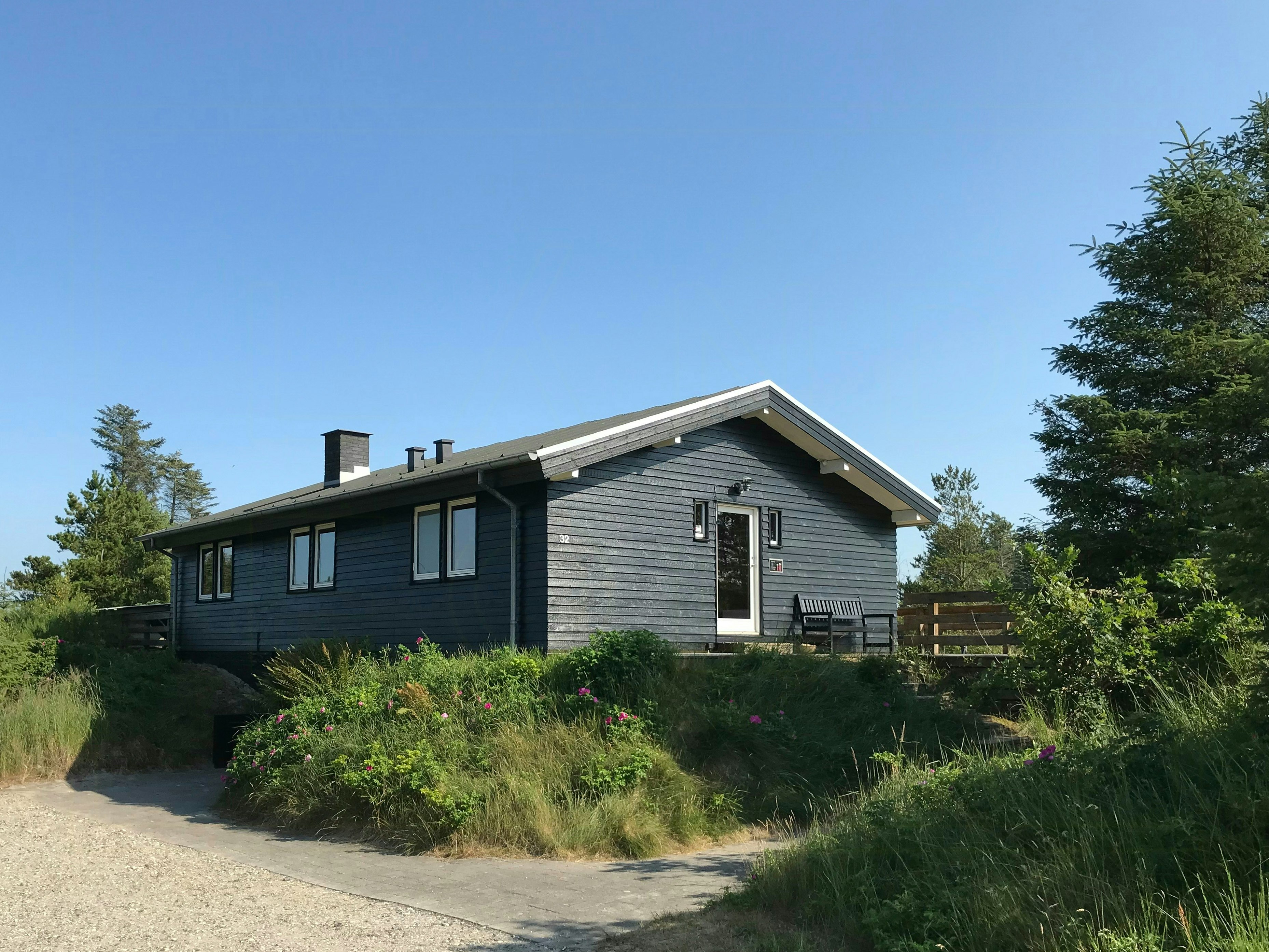 Svinkløv Plantage cover image