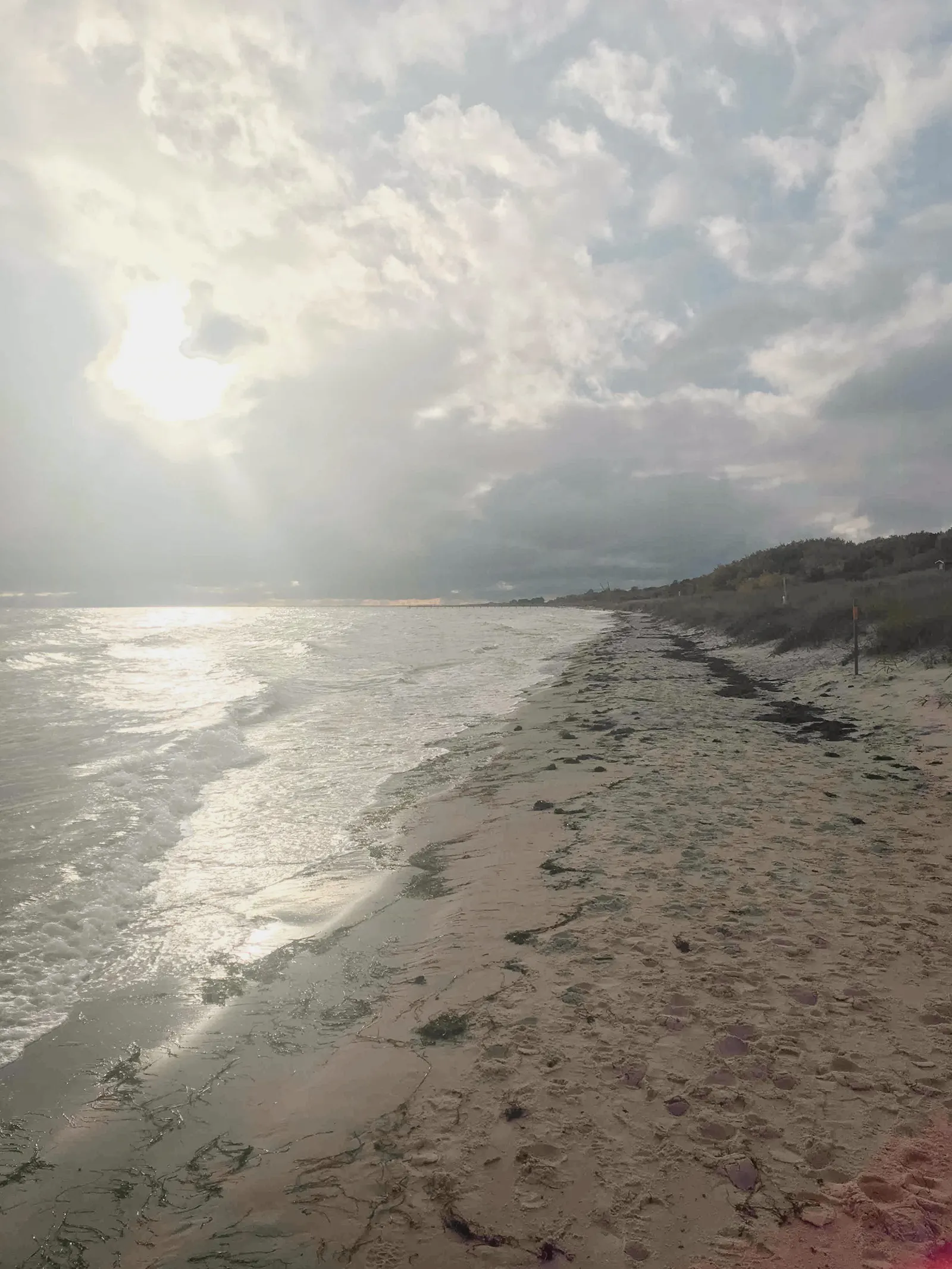 Gästhus vid park och strand i Falsterbo – bild 21 av 22