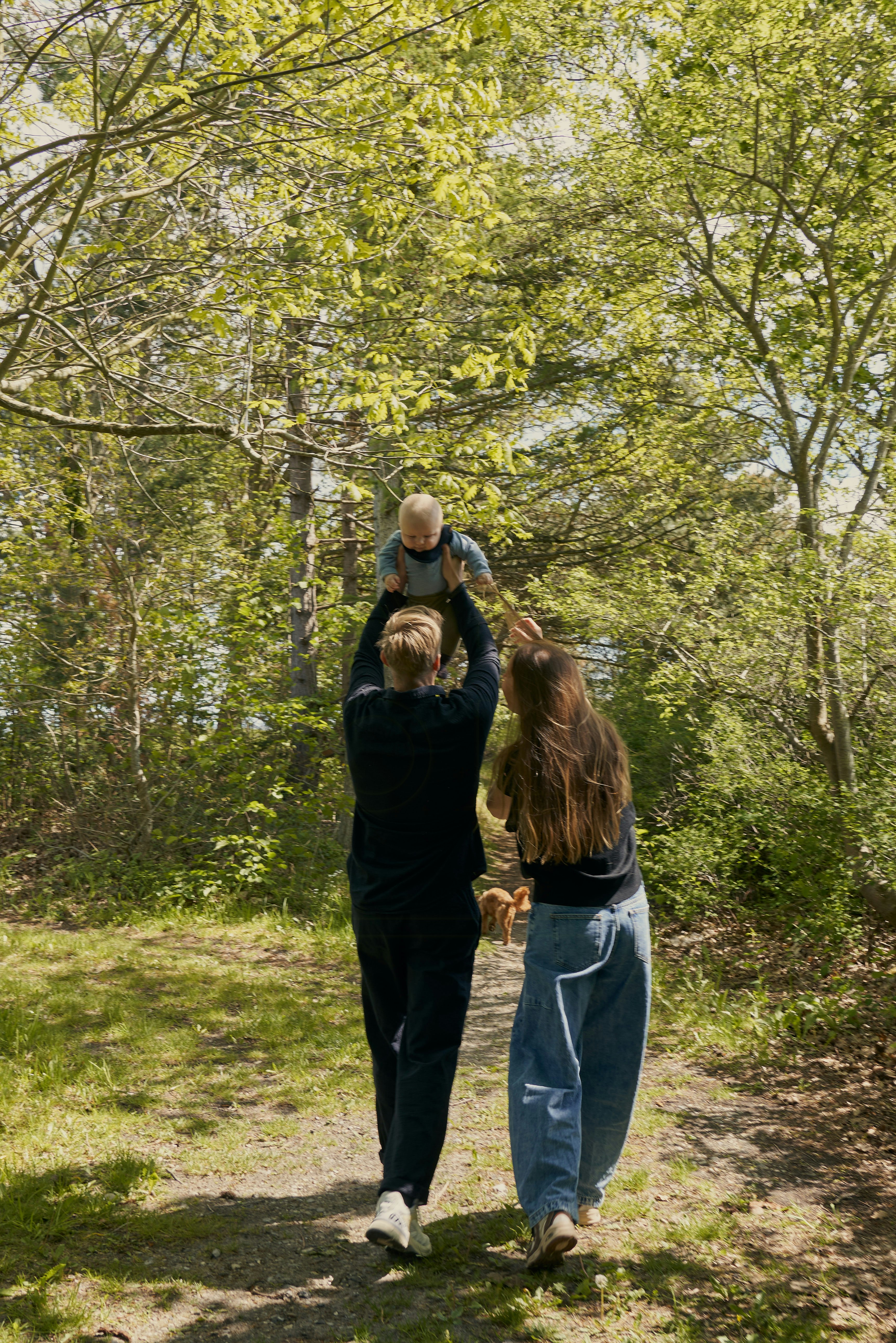 Mann und Frau gehen mit einem Baby und einem kleinen Hund auf einem Waldweg, umgeben von Bäumen und dichter Vegetation