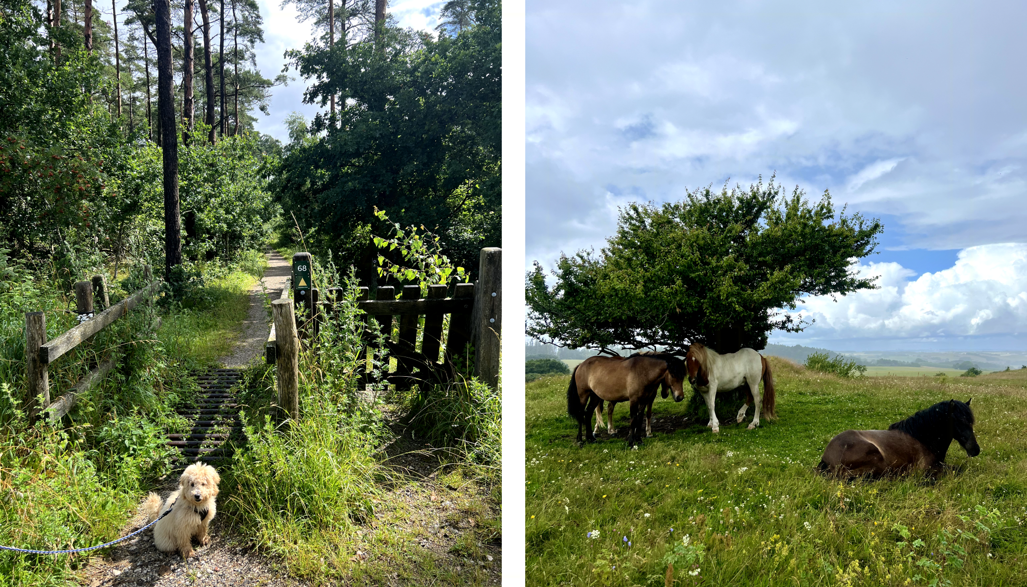 Wundervolle Landschaften