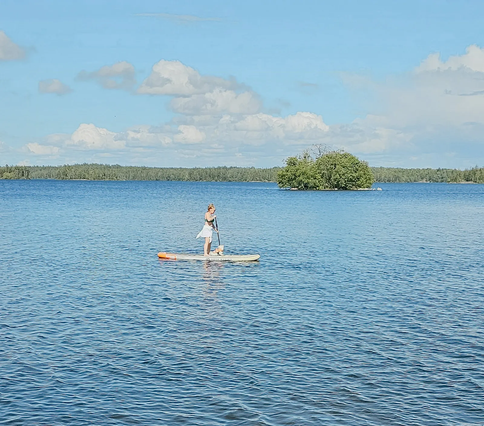 Stuga med strandtomt, båt och brygga i Småland – bild 24 av 24