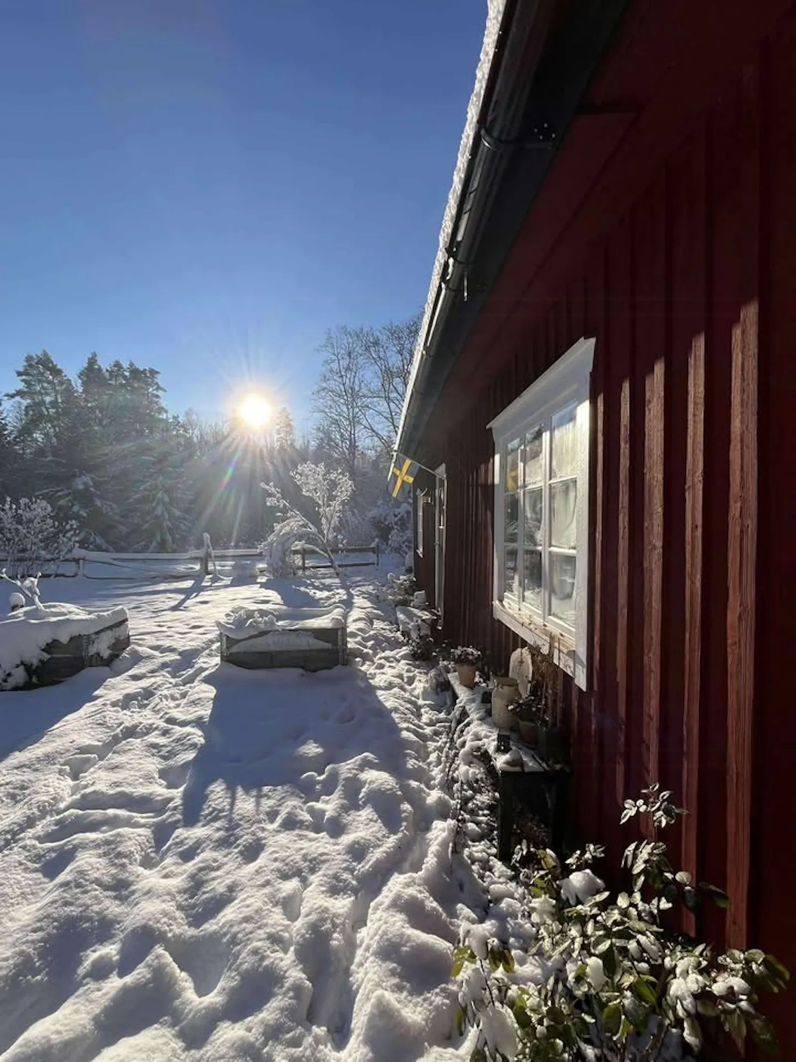 Traditionellt svenskt hus i skogens djup – bild 21 av 24