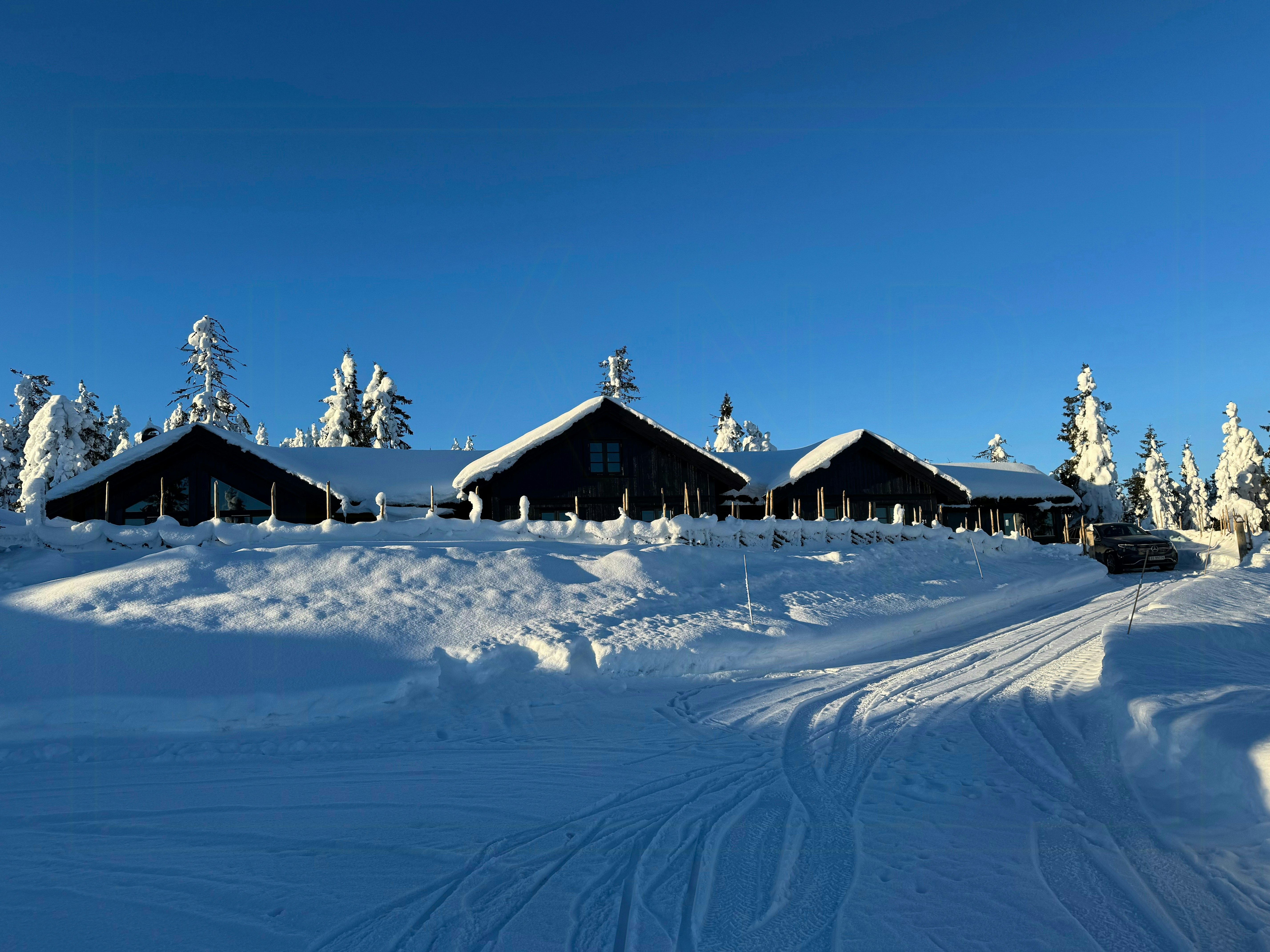 Skeikampen cover image