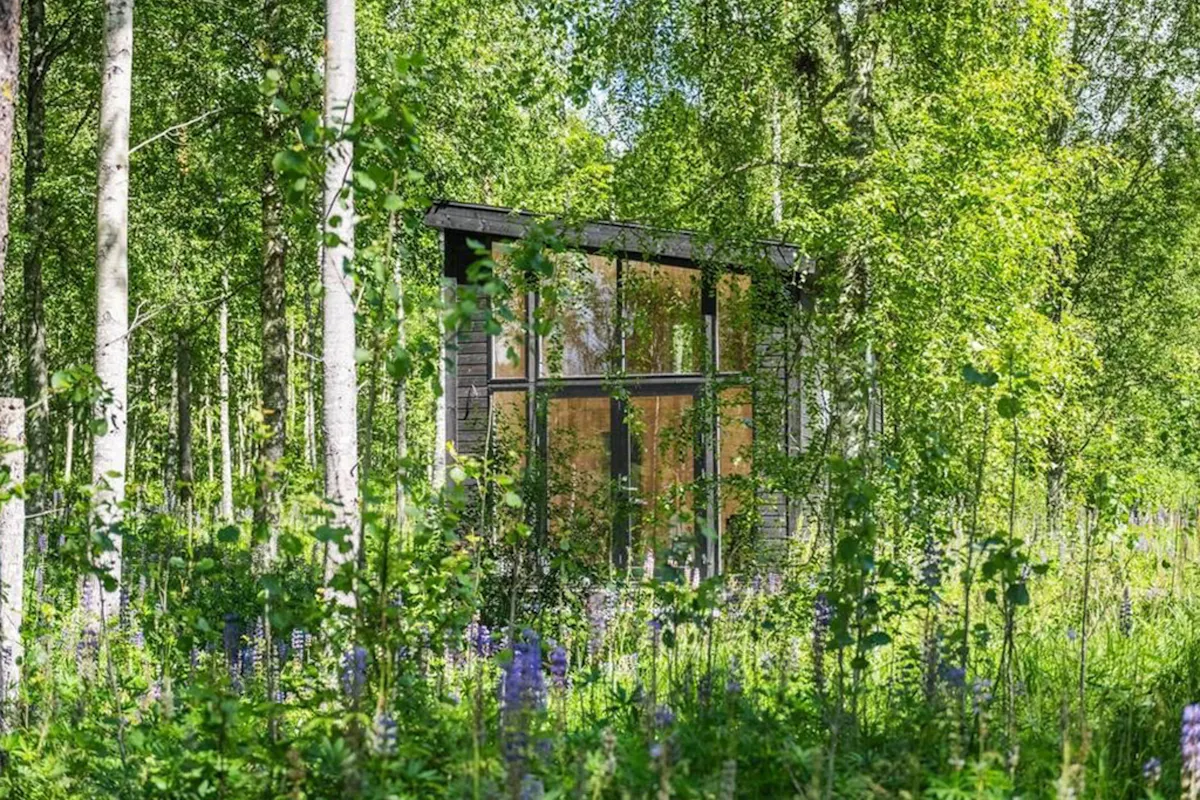 Minimalistisk stuga med skogsutsikt i Arvika