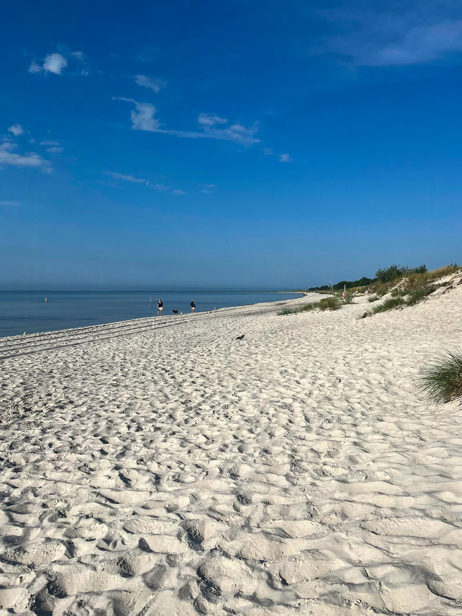 Familjehus i Falsterbo nära strand och golf – bild 2 av 24