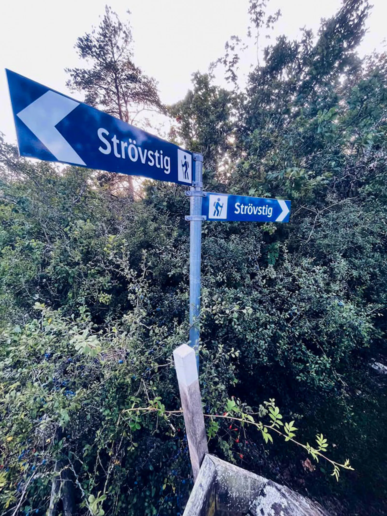 Rustik gård i avskilt Knisa på Öland – bild 22 av 23