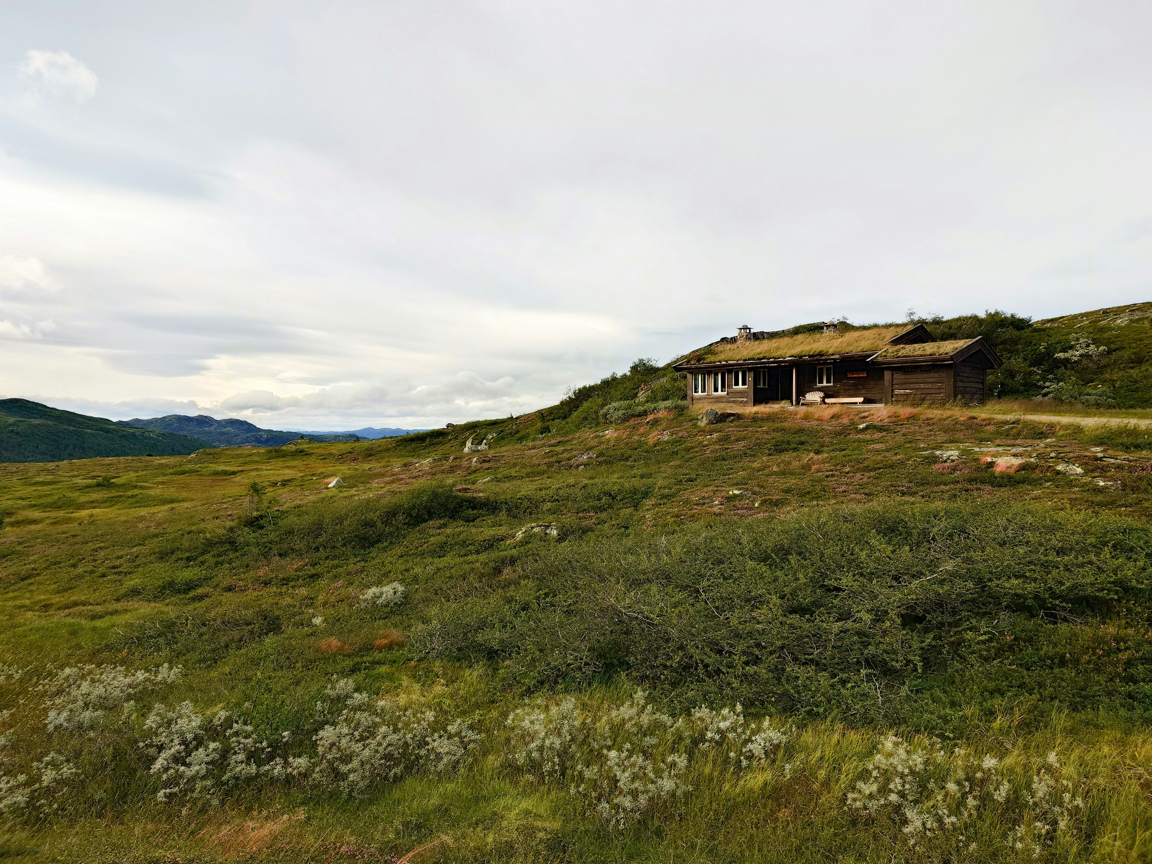 Høgevarde cover image