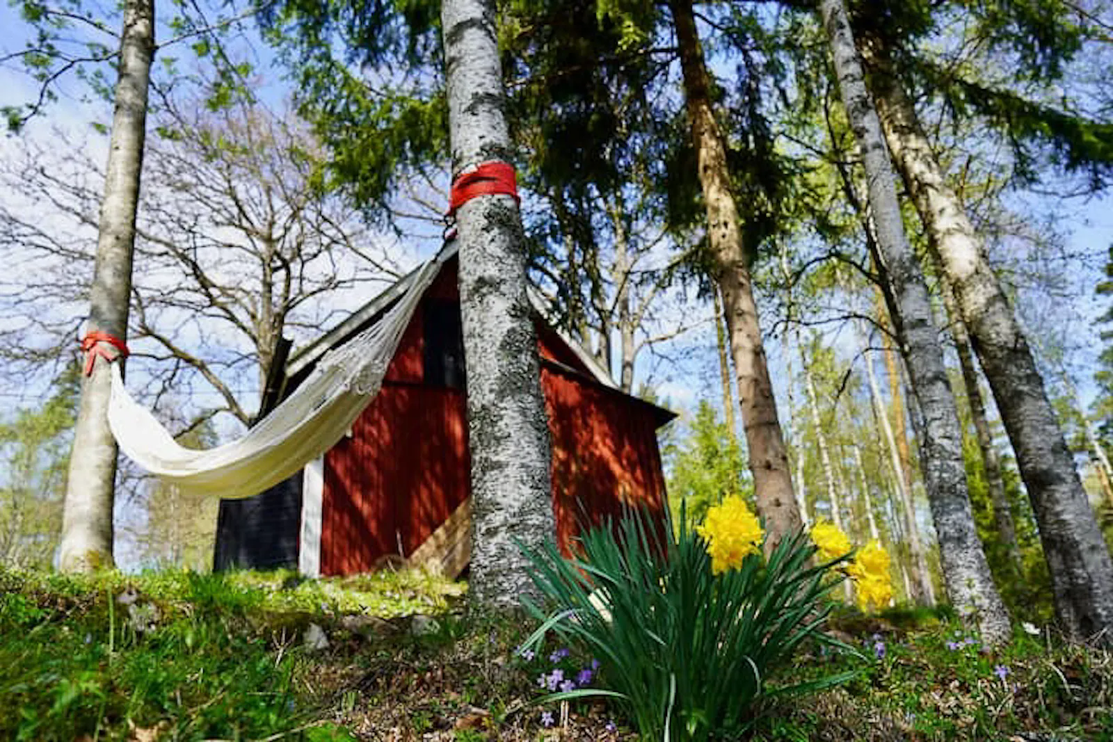 Svensk gård nära Älmhult med egen skog – bild 2 av 24
