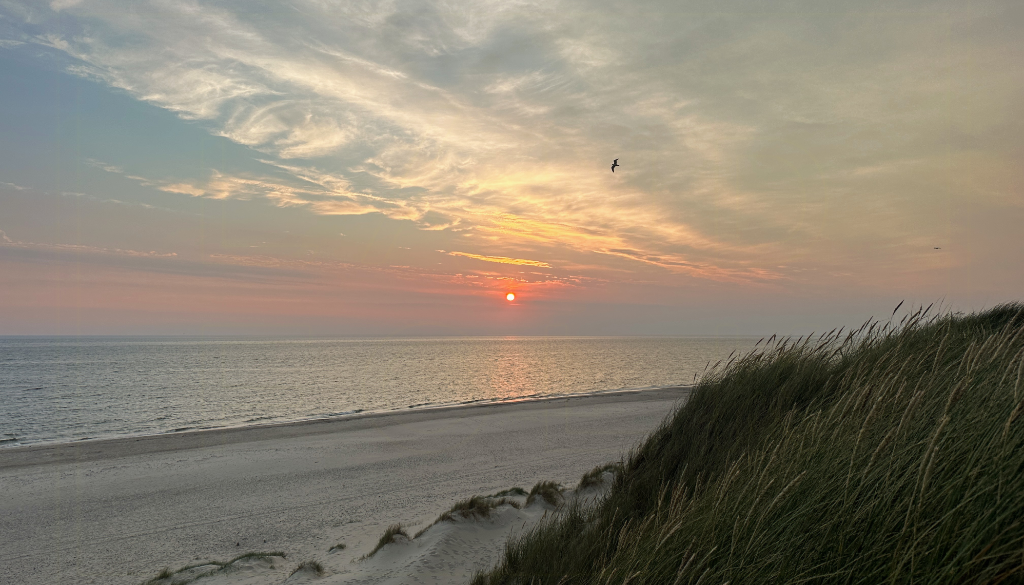 west coast activities