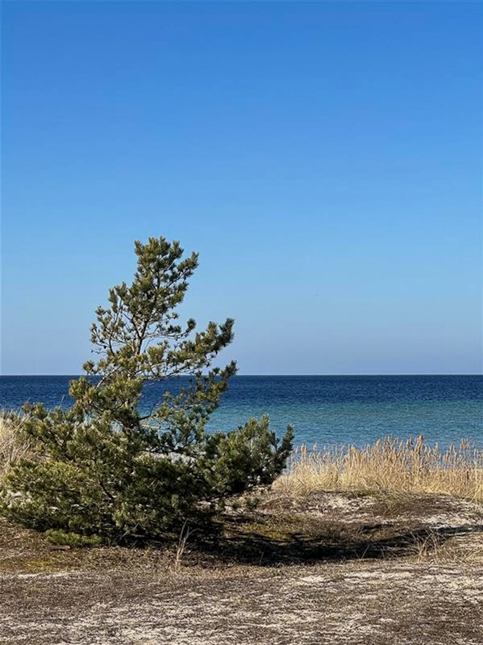 Modernt radhus med sol och uteplats på Gotland – bild 17 av 17