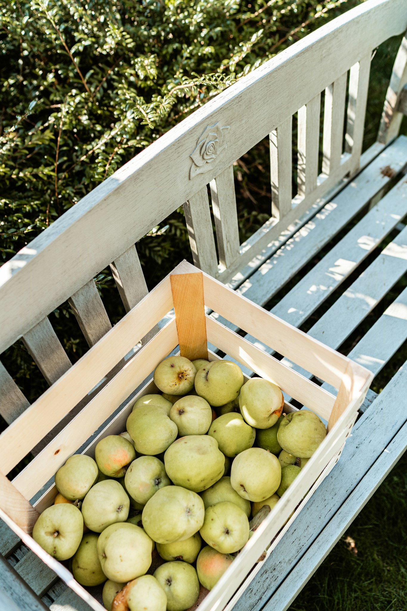 Guide til sommerhusferie på Tuse Næs