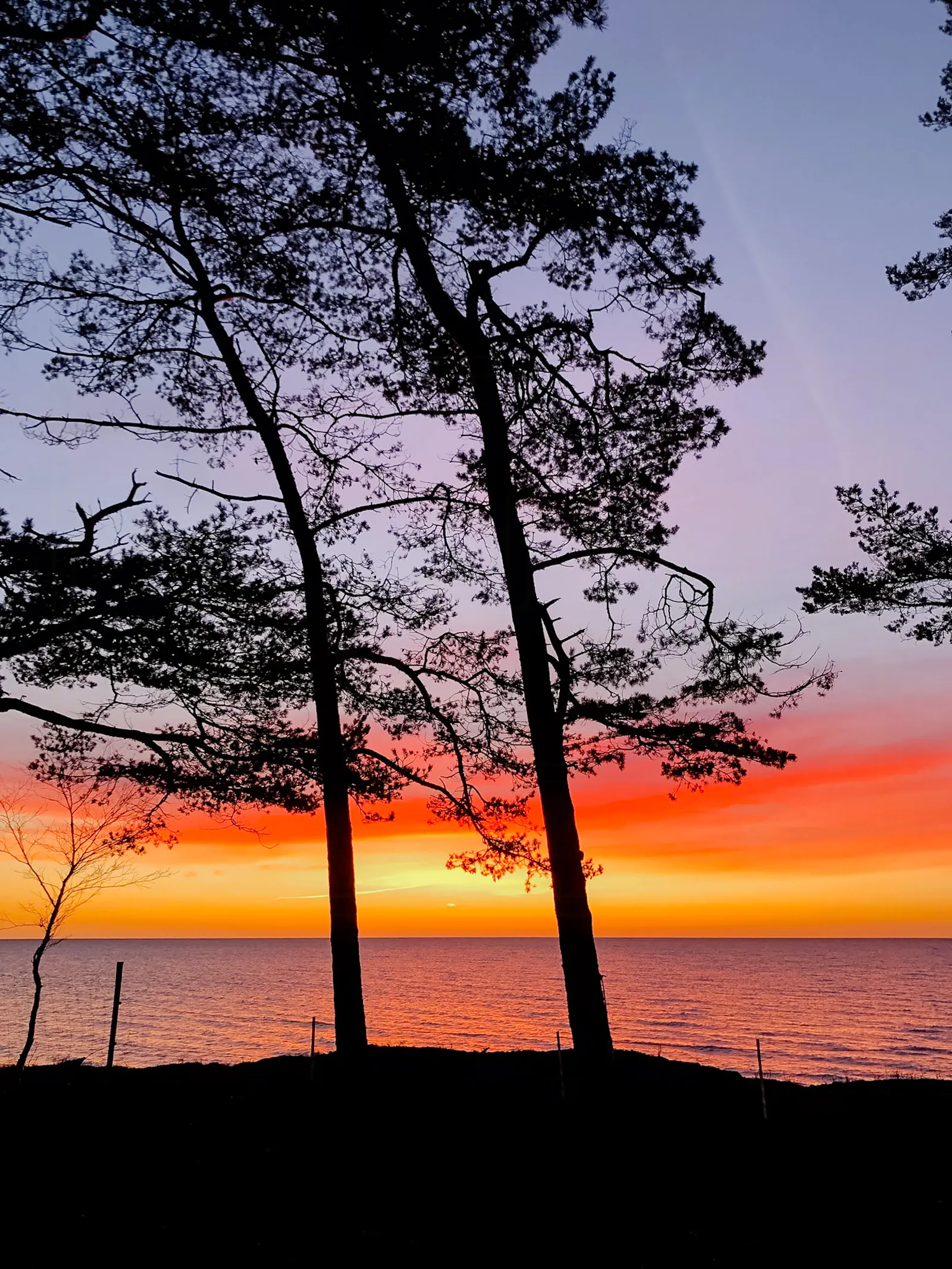 Strandvilla med havsutsikt i Äspet – bild 22 av 22