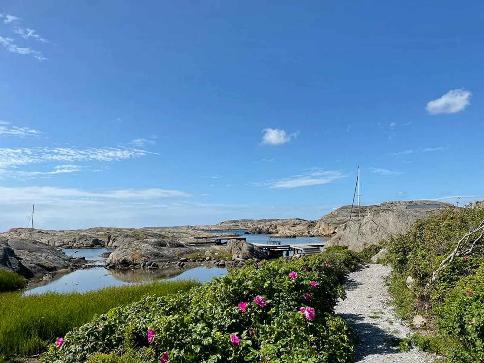 Björholmens havsoas: en idyll vid kusten – bild 16 av 18