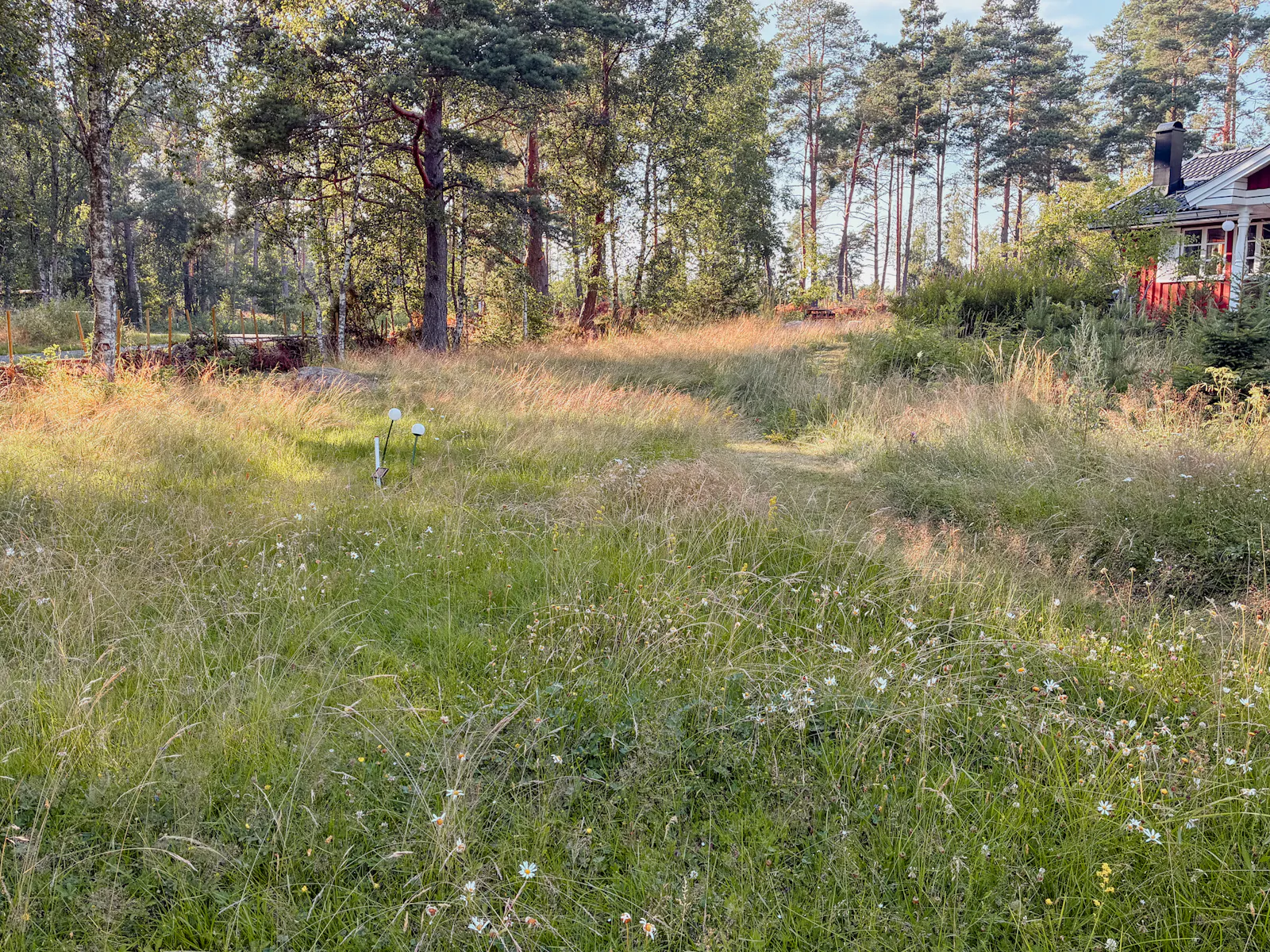 Charmigt hus på Vätö omgivet av lugn och skog – bild 24 av 24