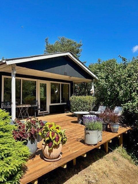 Holiday homes at a great price in Djursland cover image