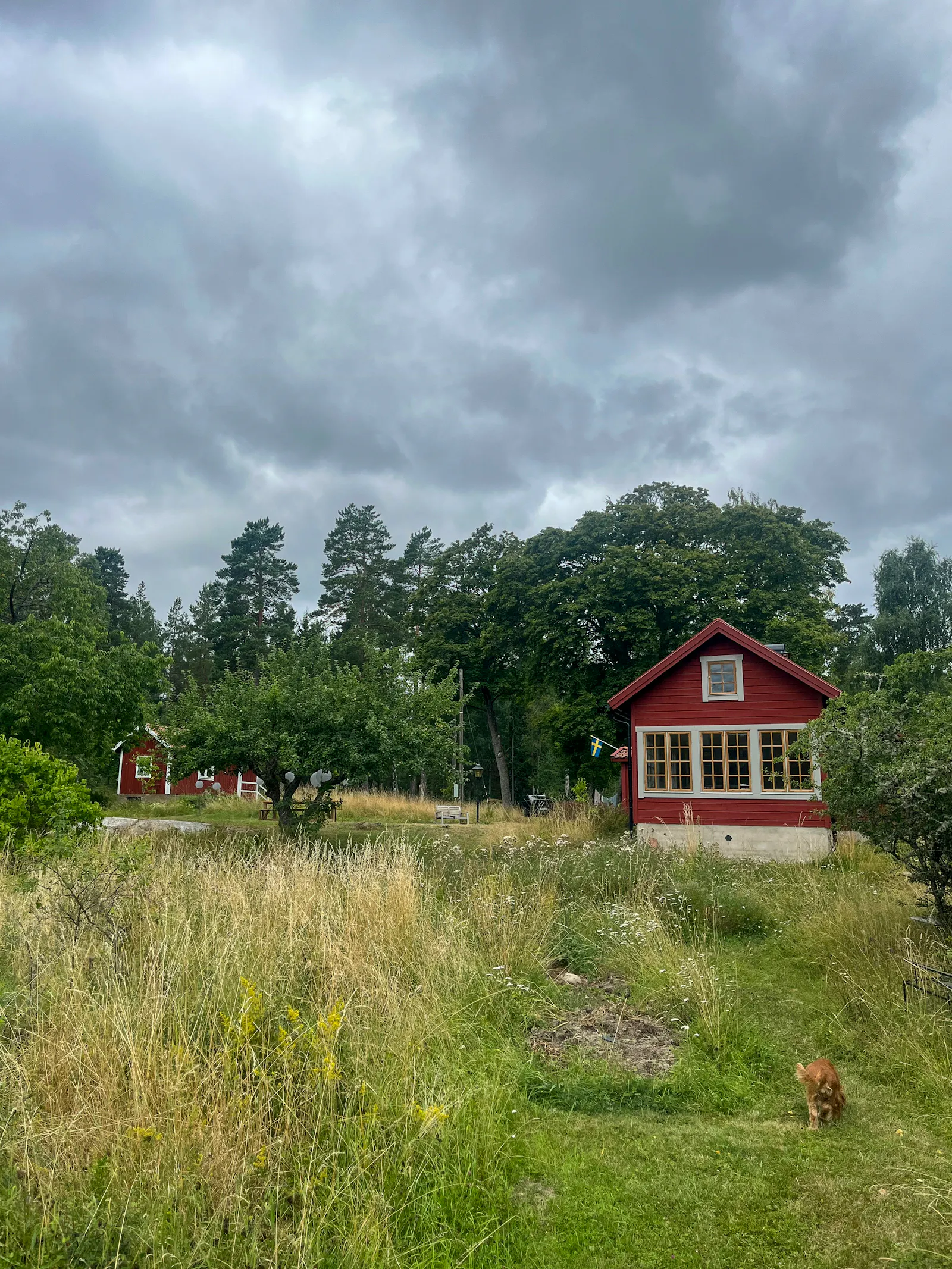 1800-talsstuga på Fogdö omgiven av skog och äng – bild 18 av 24