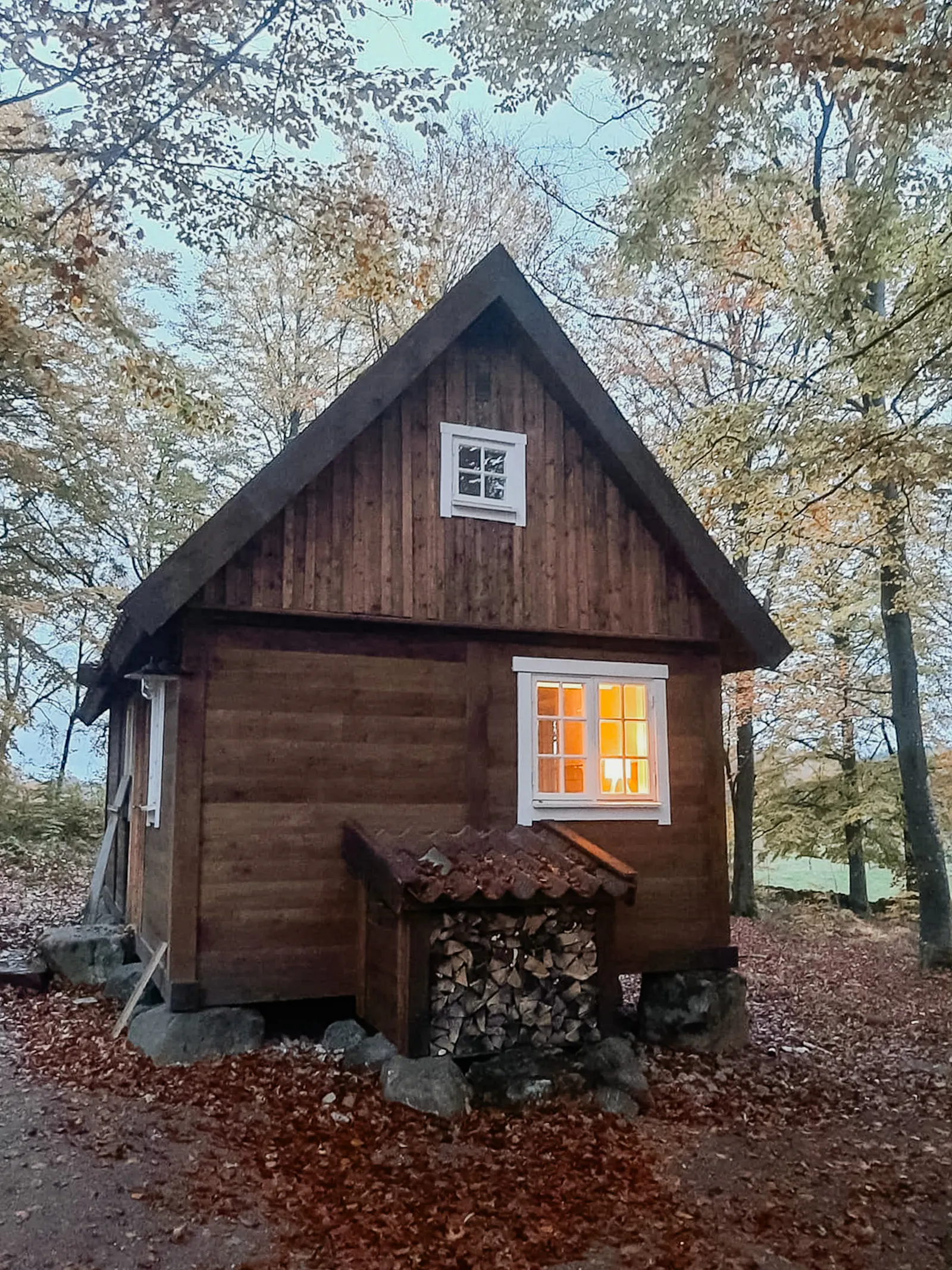 Stuga av skogens virke nära Örkelljunga – bild 18 av 21