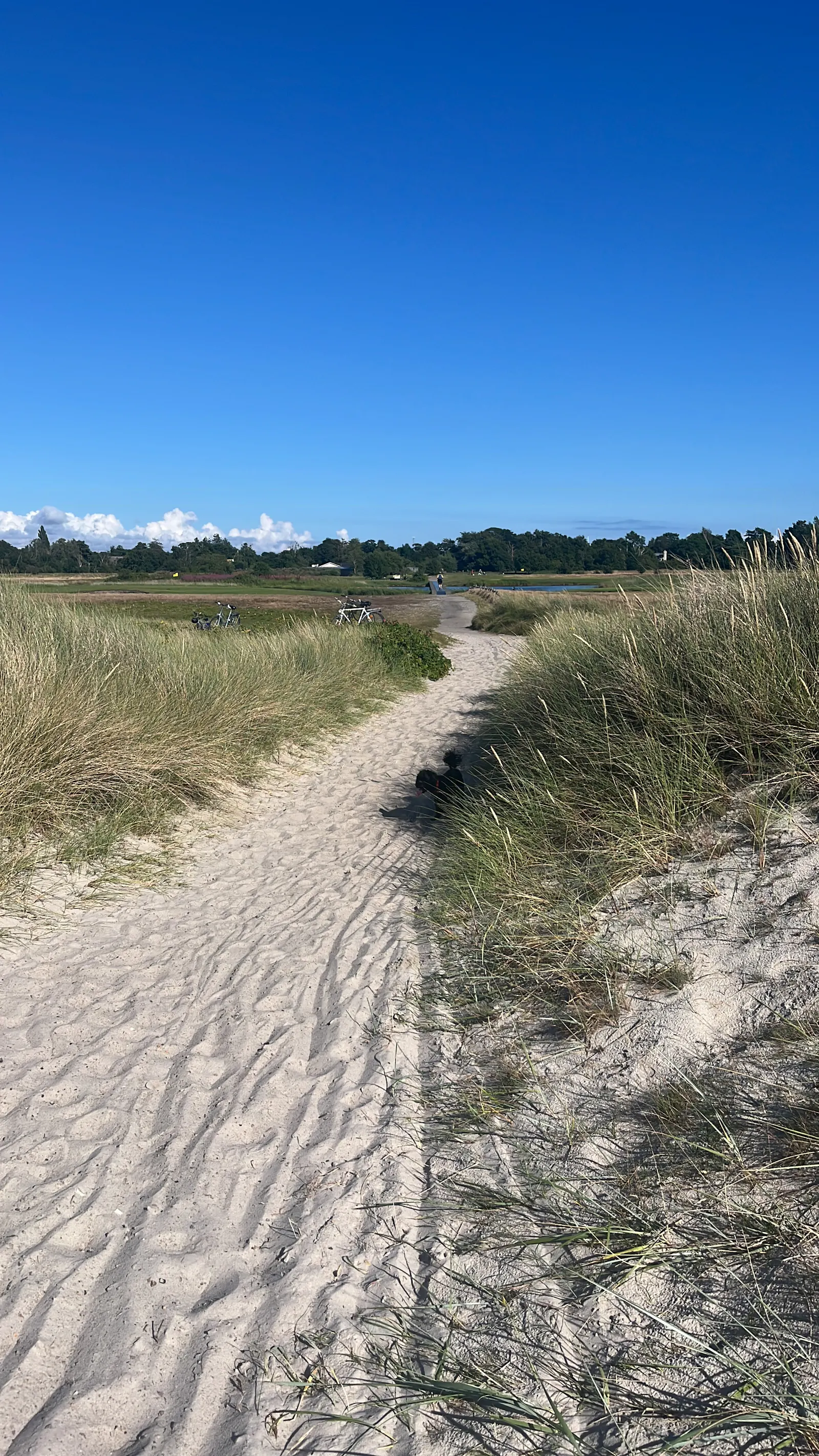 Familjehus i Falsterbo nära strand och golf – bild 20 av 24