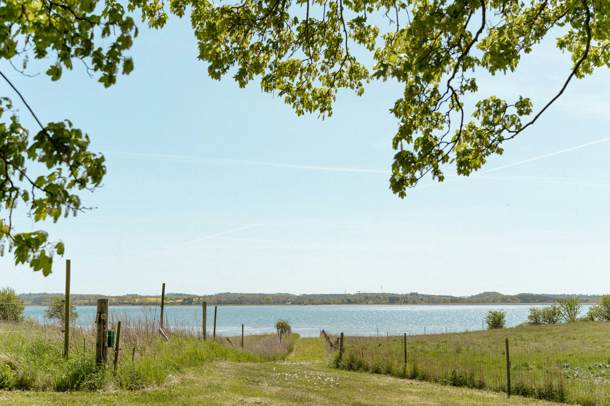 Kom ud i naturen: 5 særlige naturoplevelser i Odsherred