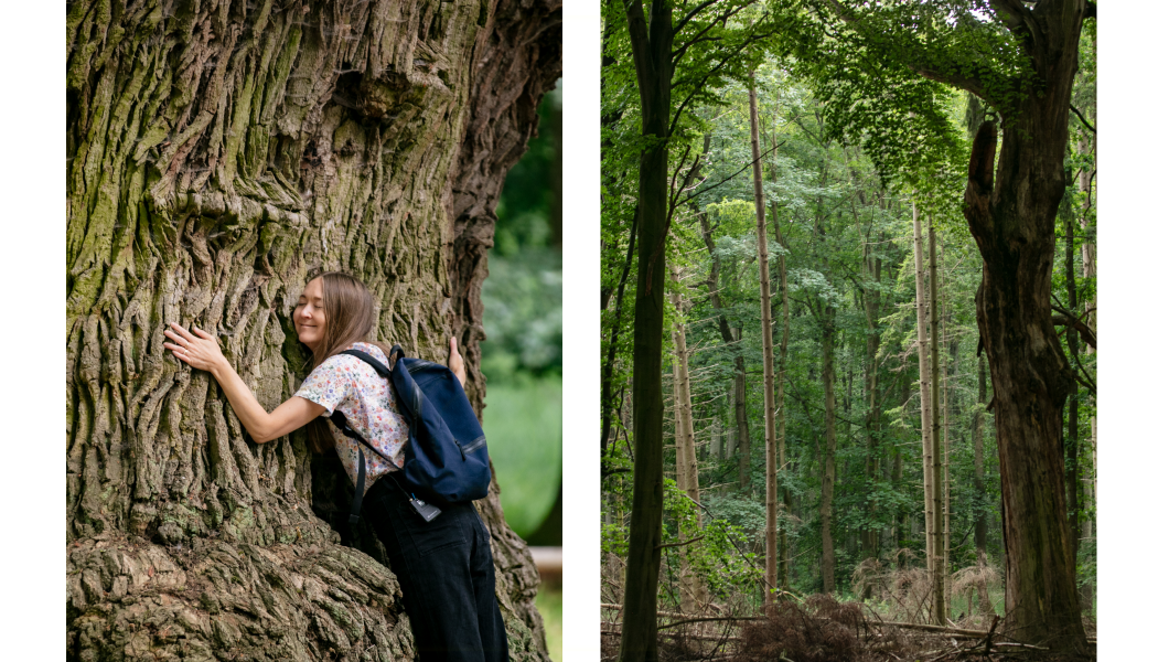 Ivenacker | Landfolk